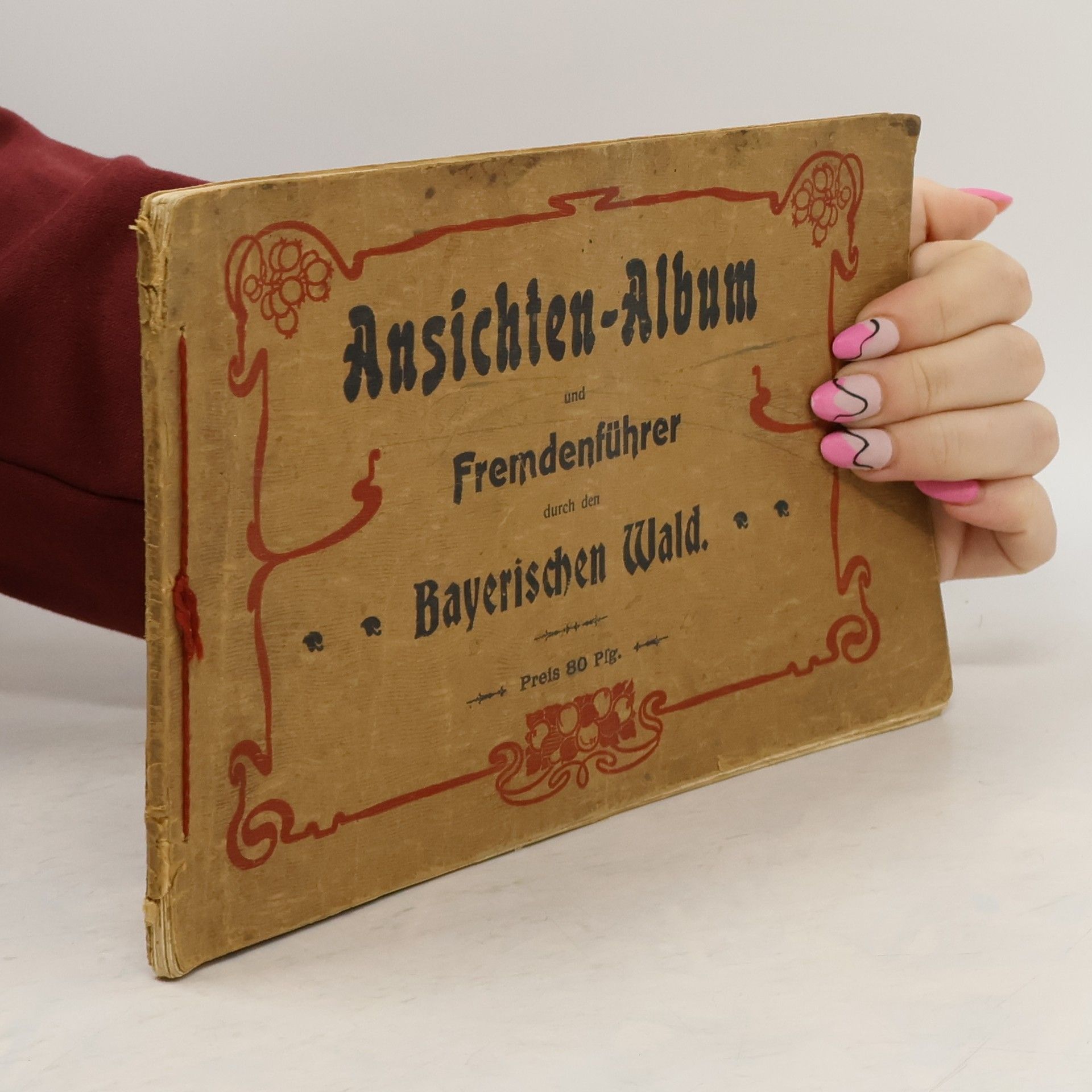 Autorenkollektiv Ansichten-Album und Fremdenführer durch den Bayerischen Wald