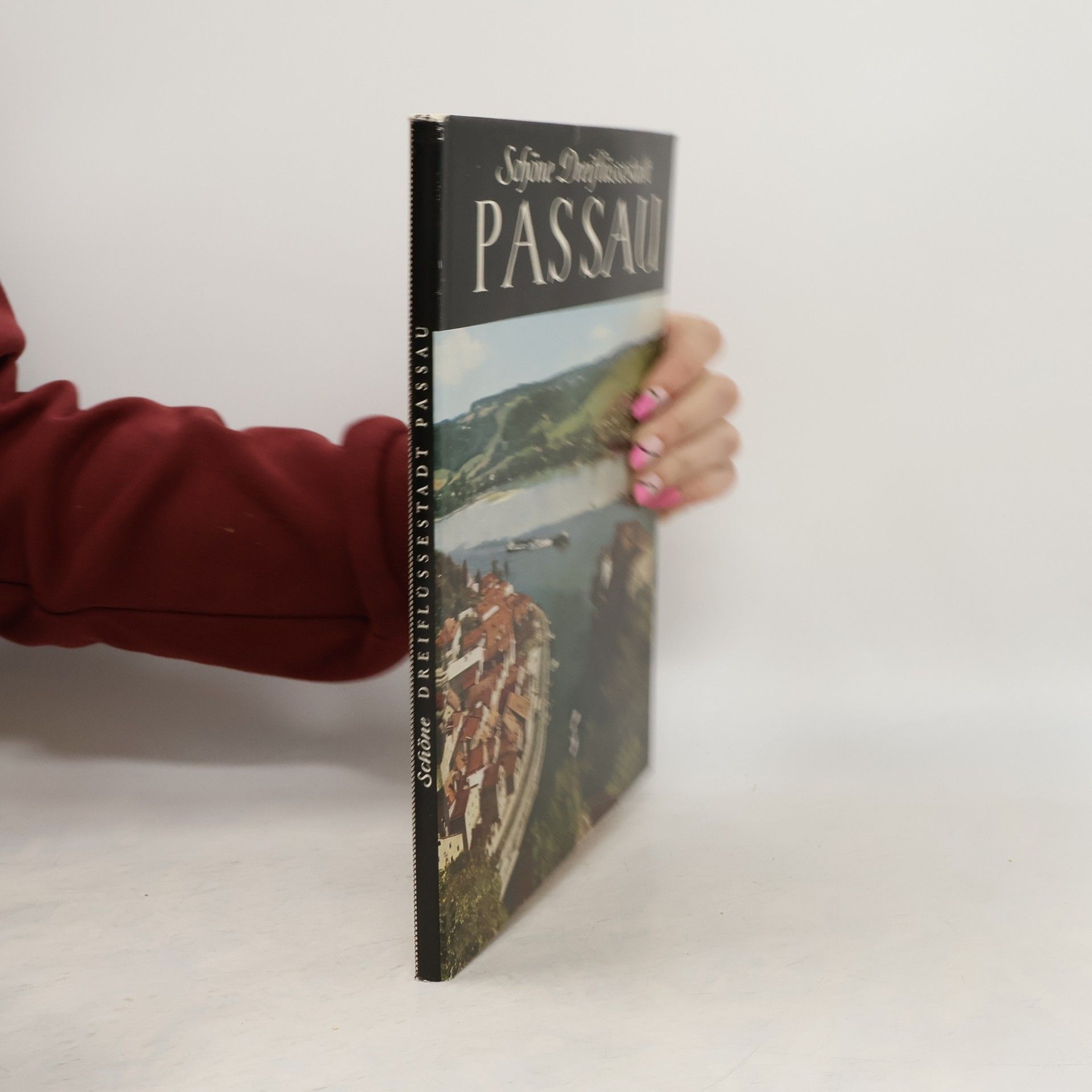 Hans Kapfinger Schöne Dreiflüssestadt Passau