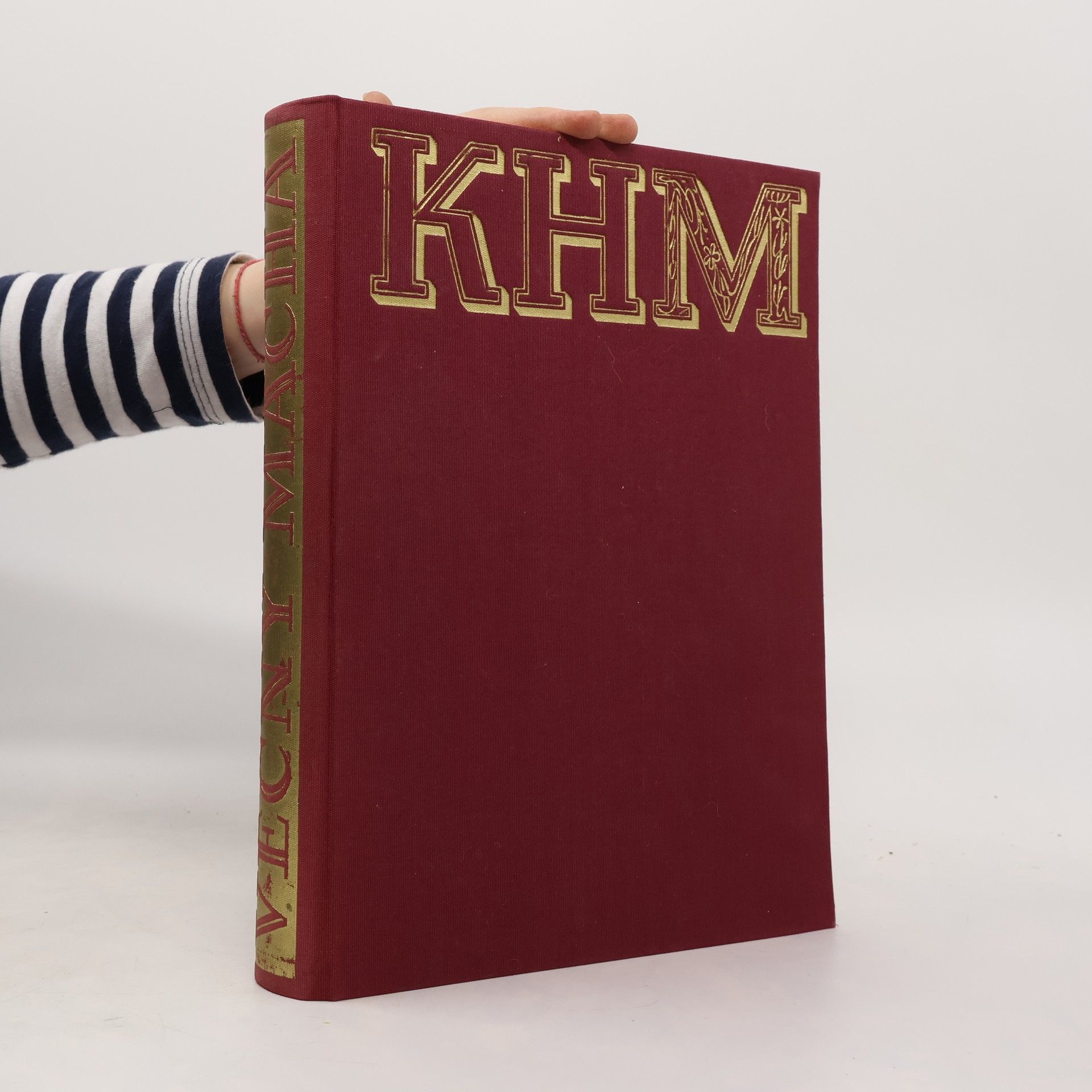 Autorenkollektiv Věčný Mácha. Památník českého básníka