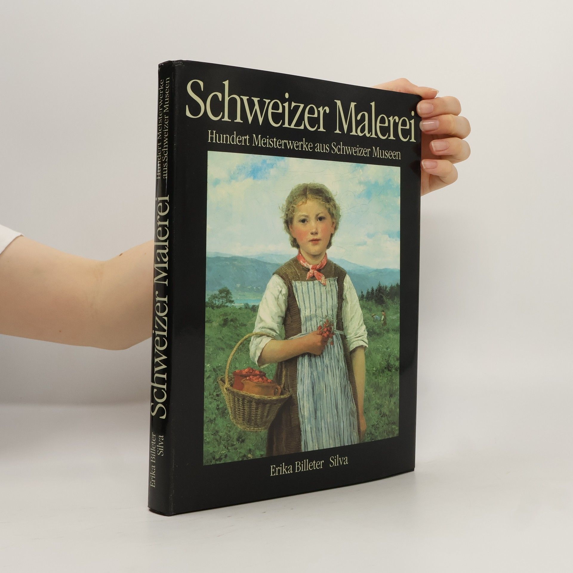 Schweizer Malerei