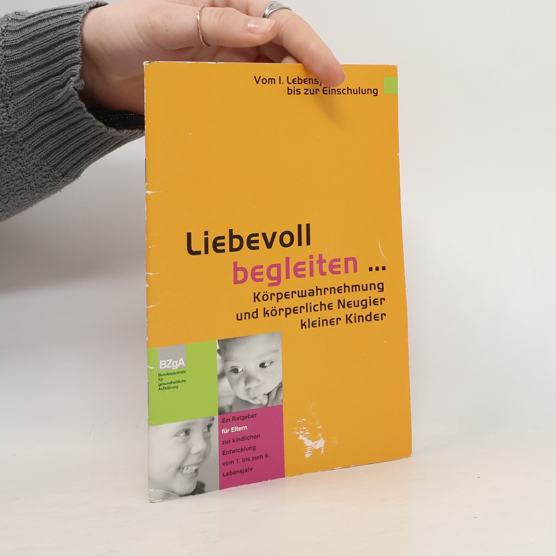 Autorenkollektiv Liebevoll begleiten...
