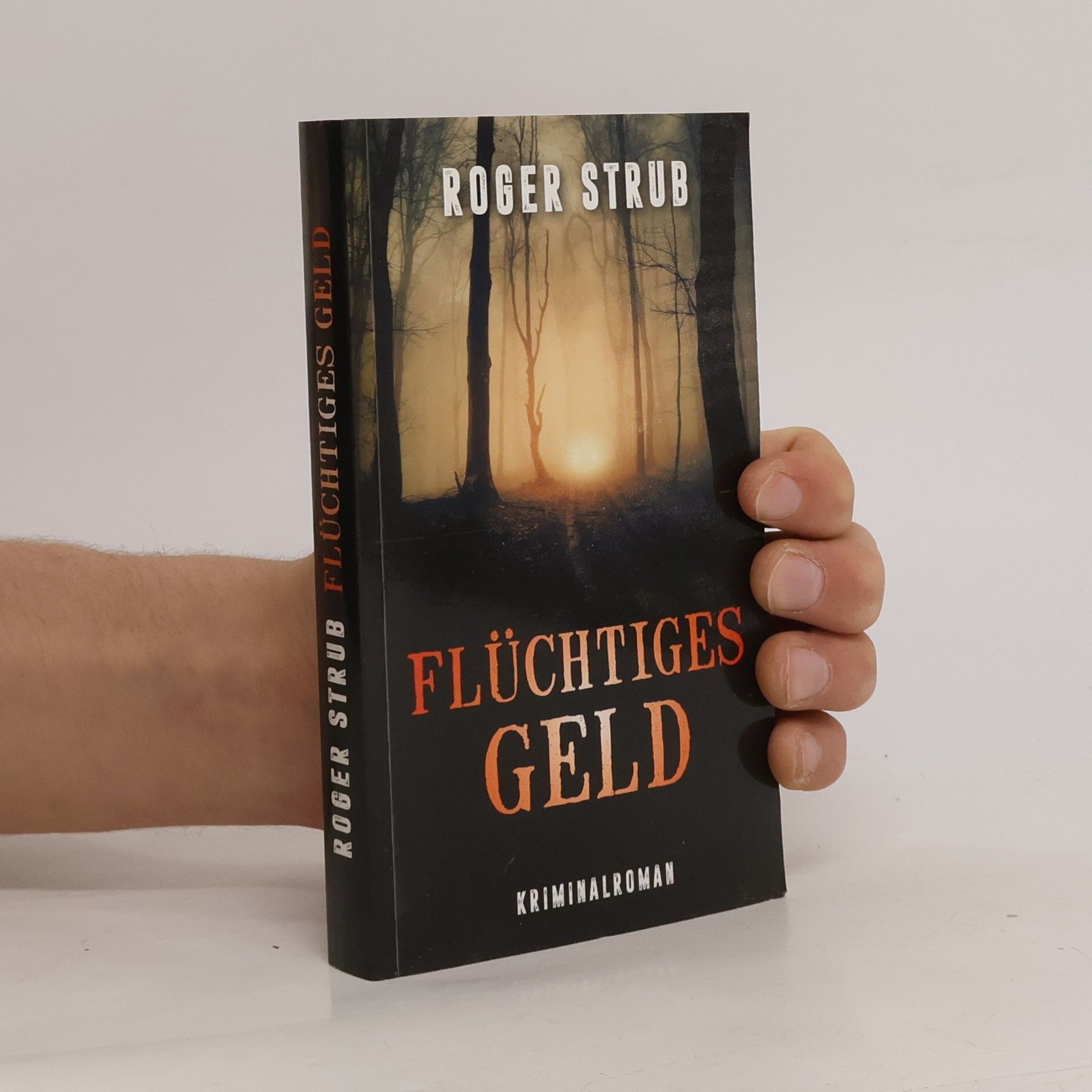 Roger Strub Flüchtiges Geld