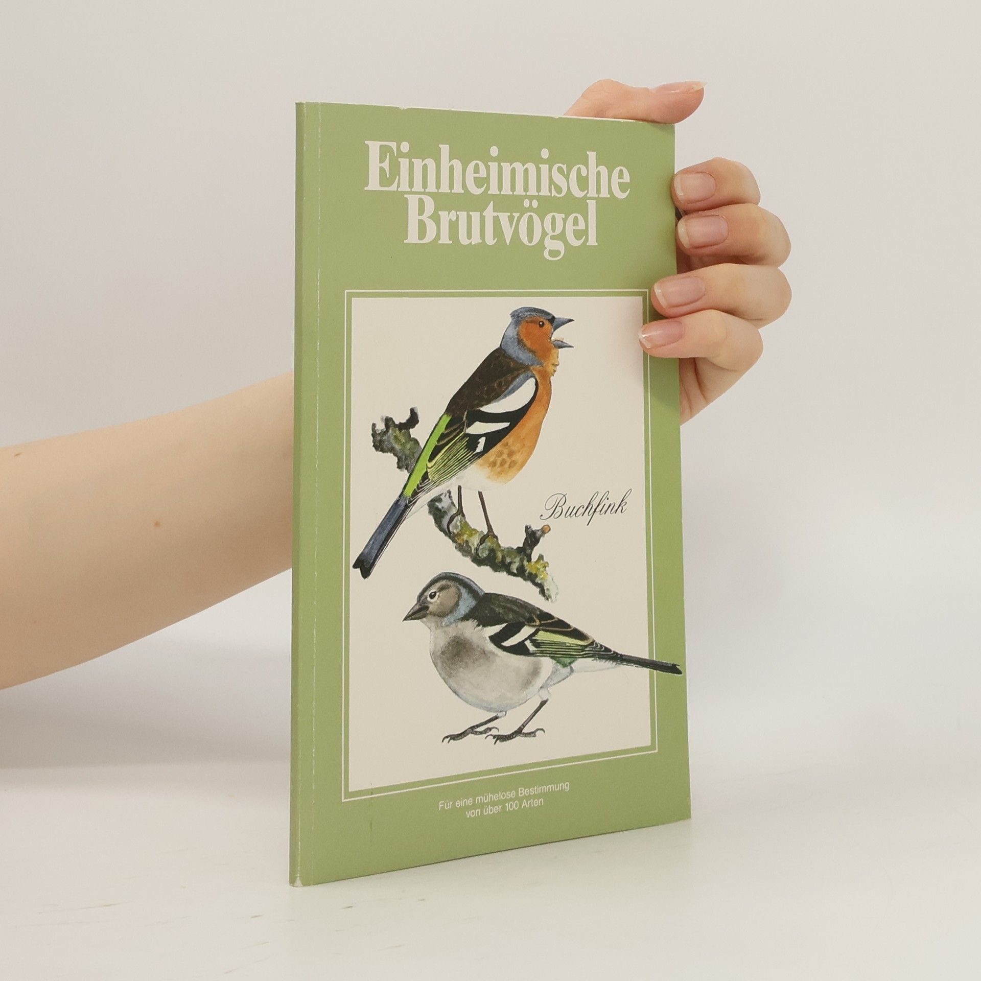 Auteurscollectief Einheimische Brutvögel