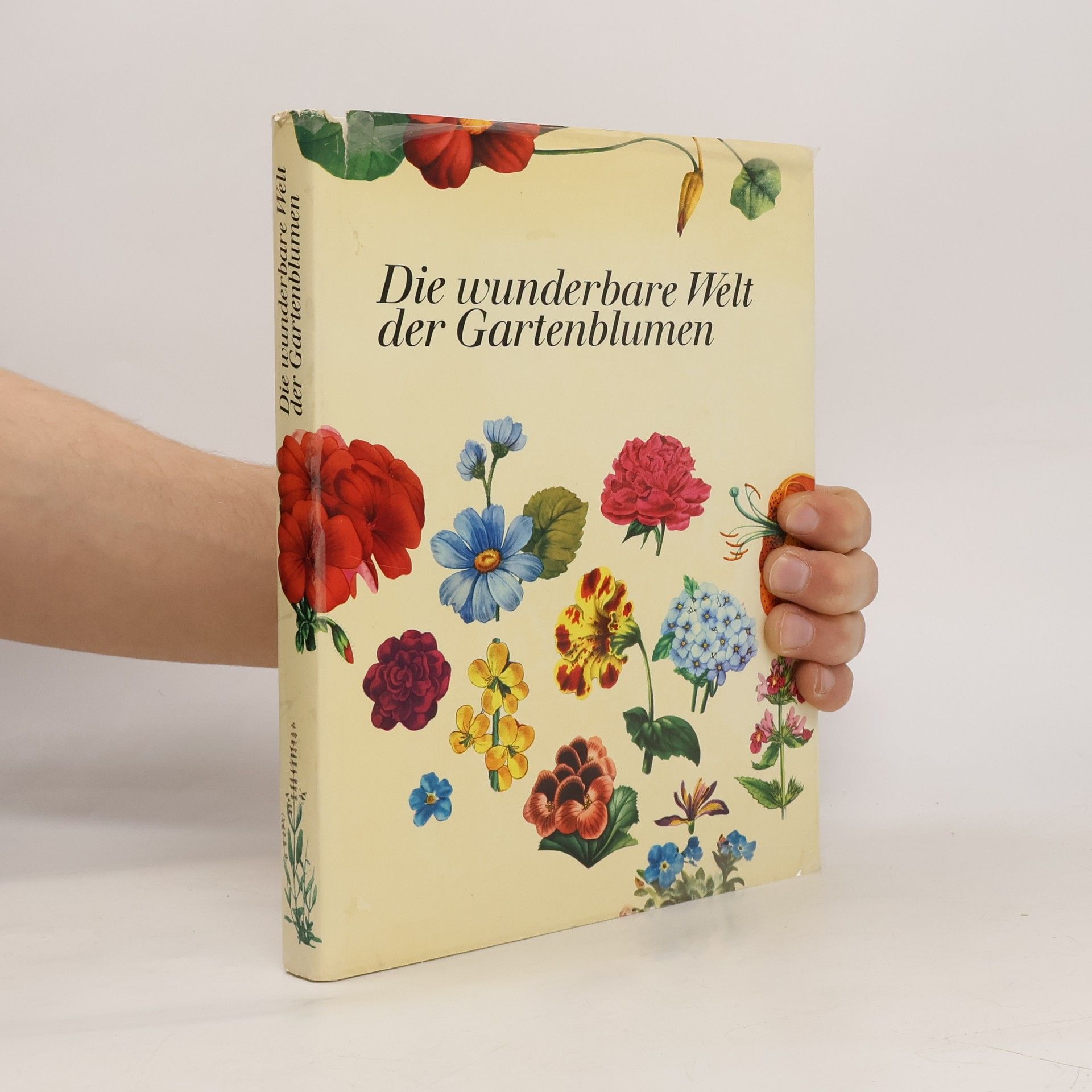 Collectif d'auteurs Die wunderbare Welt der Gartenblumen