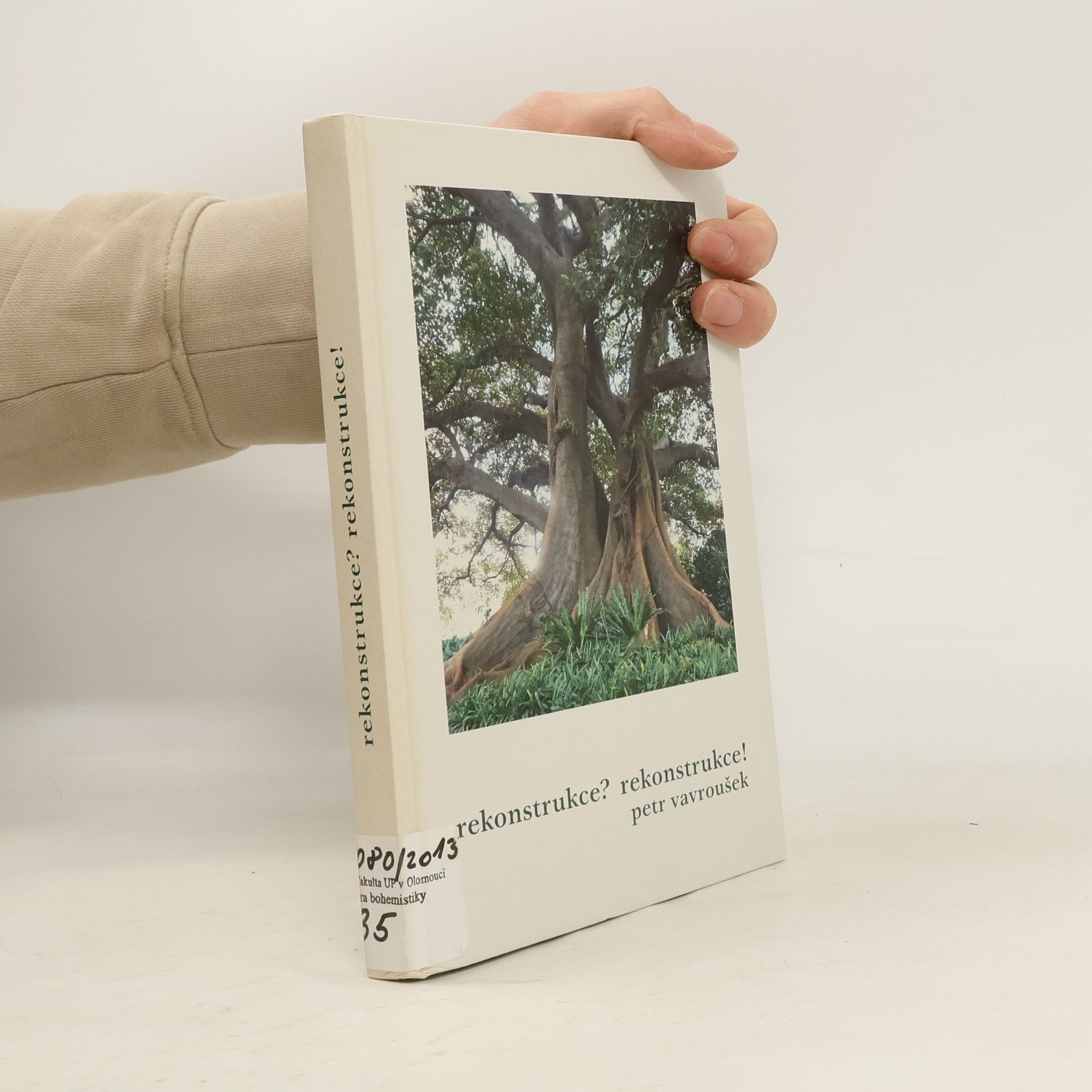 Petr Vavroušek Rekonstrukce? Rekonstrukce!