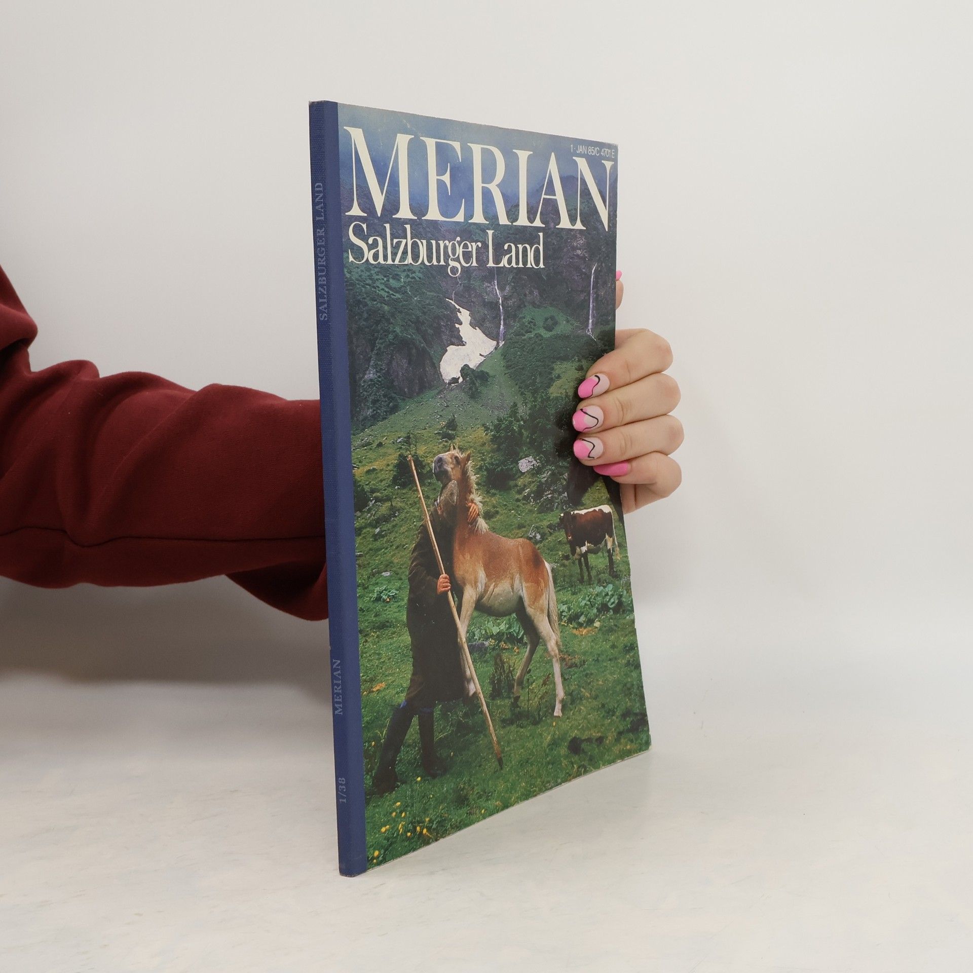 Kolektiv autorů Salzburger Land