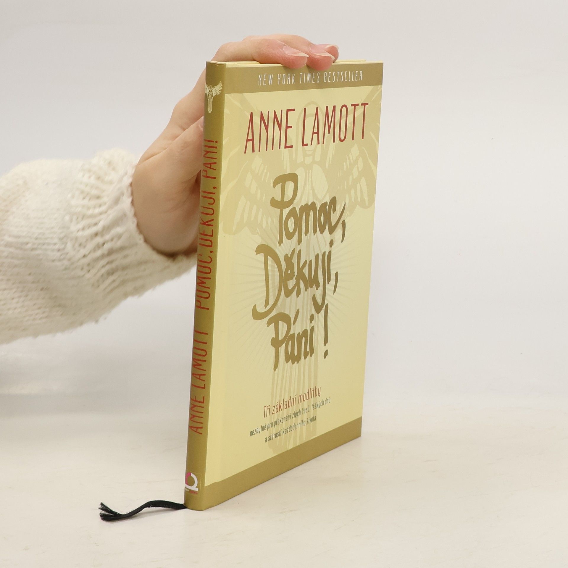 Anne Lamott Pomoc, Děkuji, Páni!