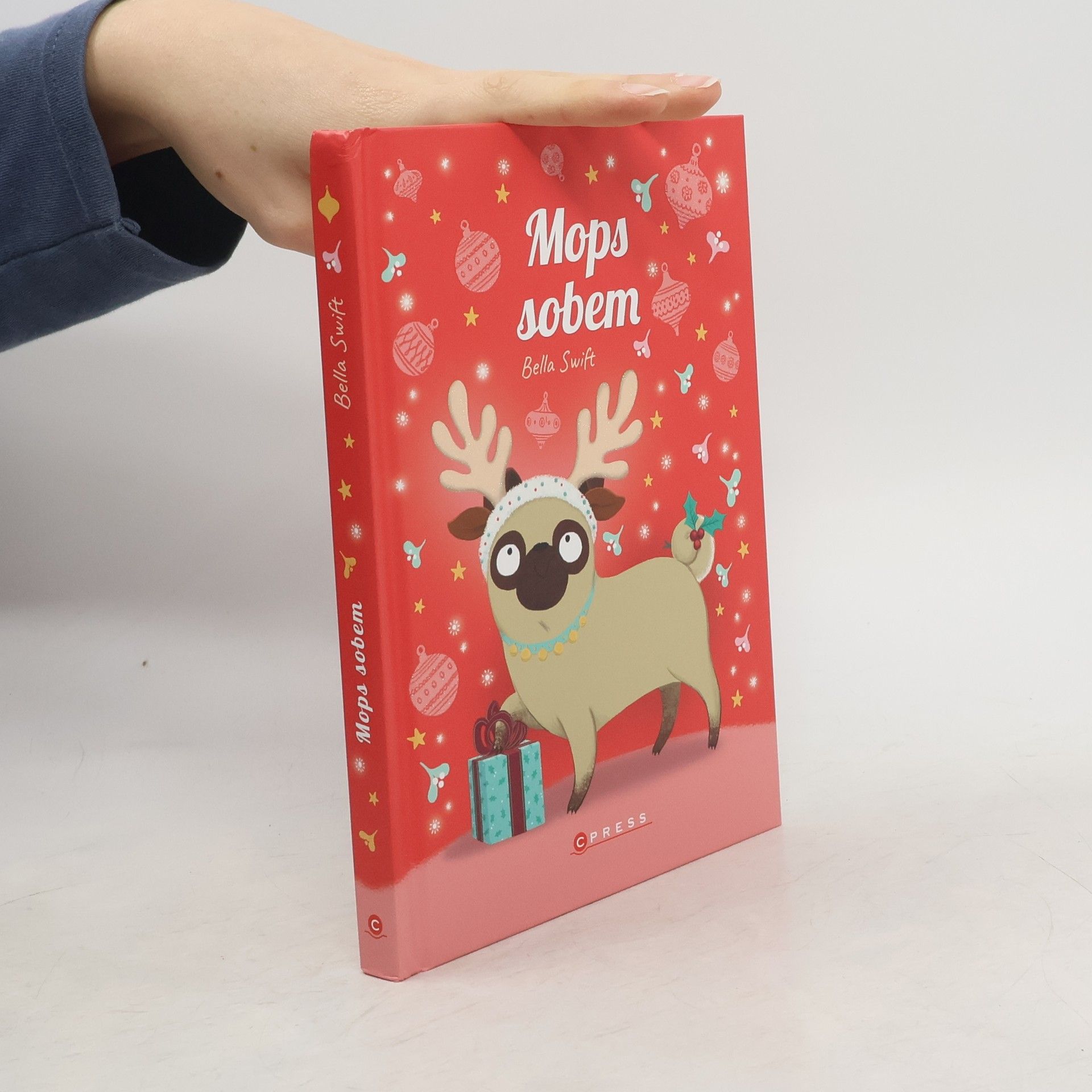 Bella Swift Mops sobem