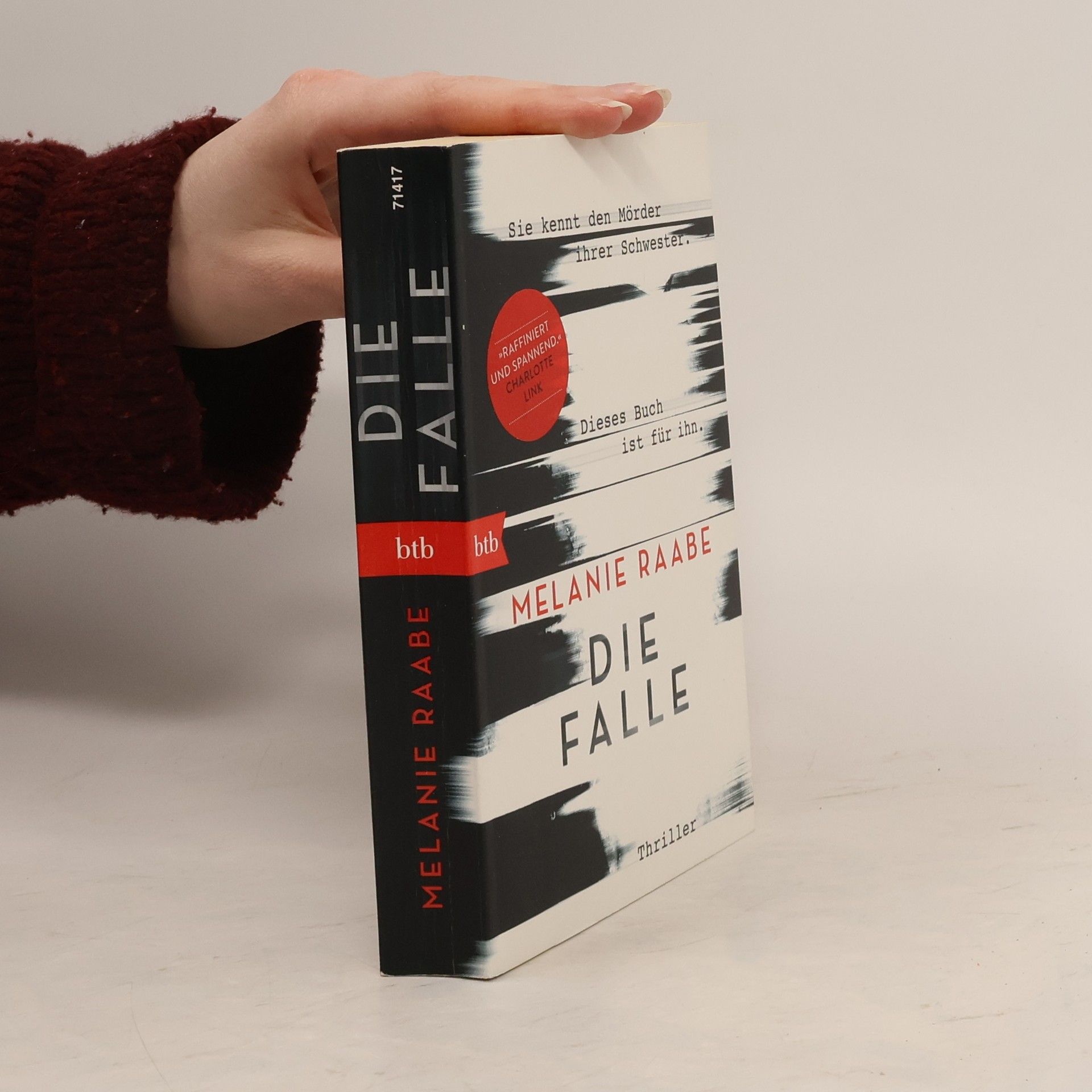 Melanie Raabe Die Falle