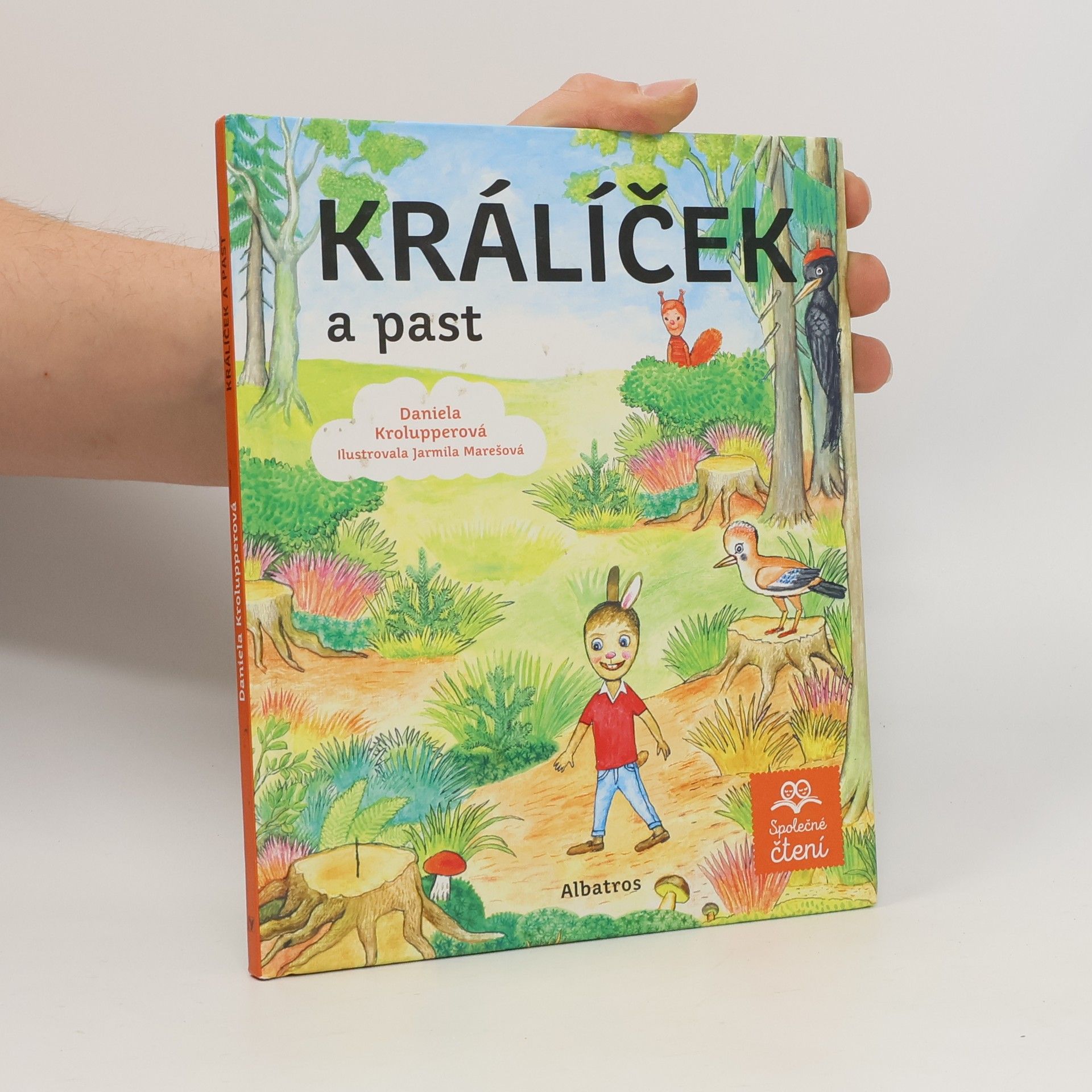 Daniela Krolupperová Králíček a past