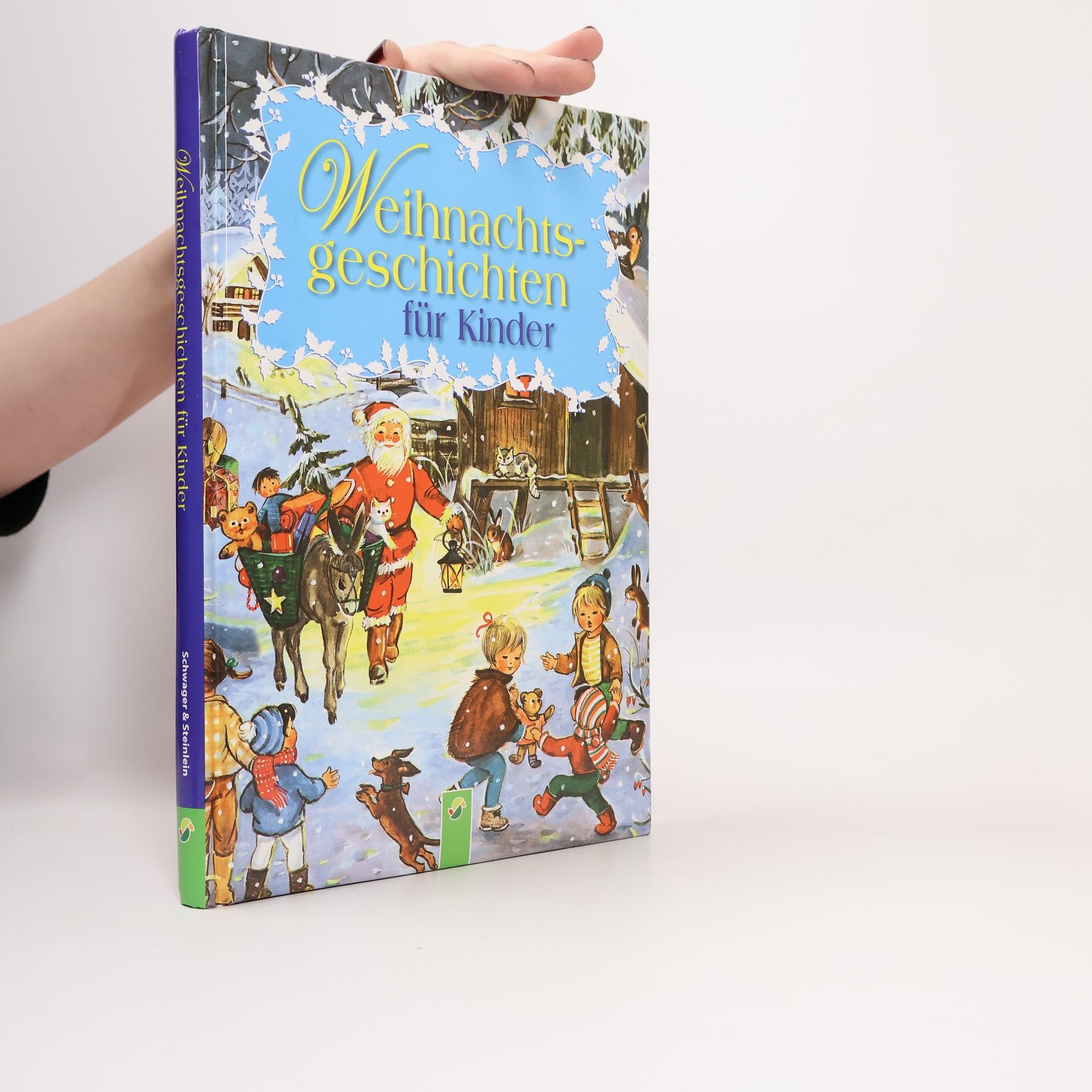 Autorenkollektiv Weihnachtsgeschichten für Kinder