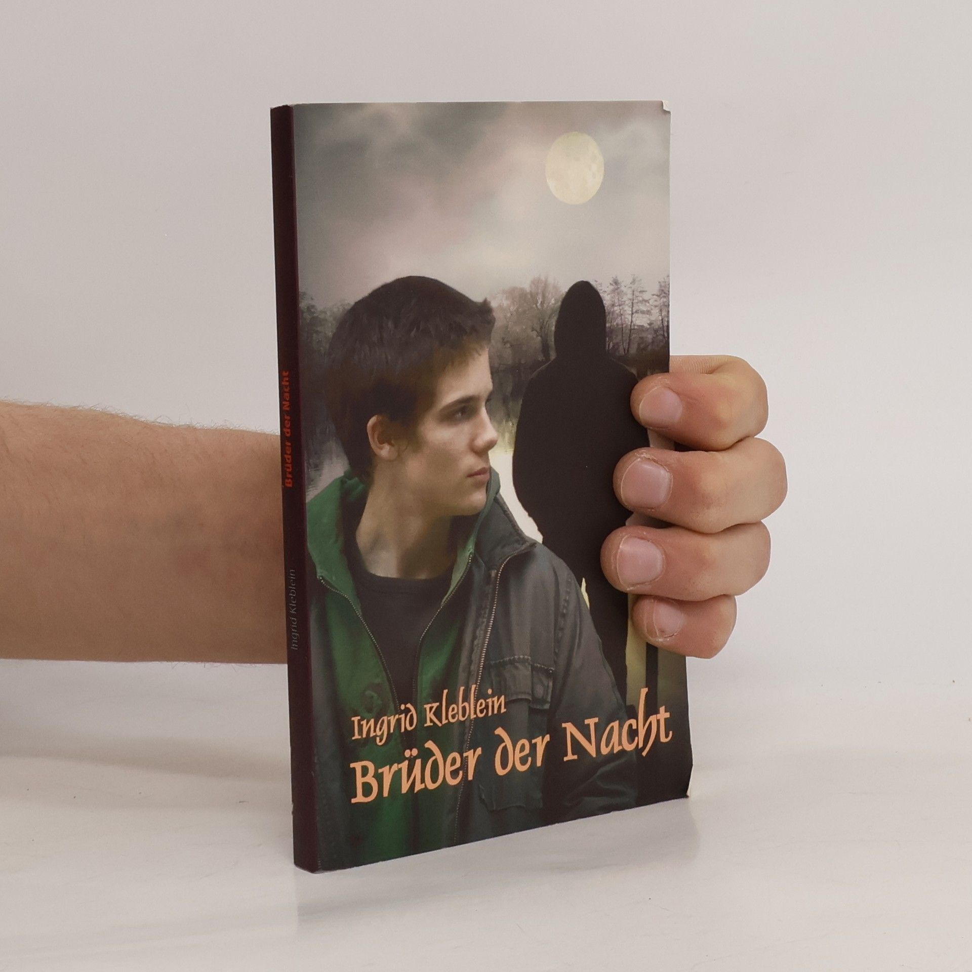 Ingrid Kleblein Brüder der Nacht