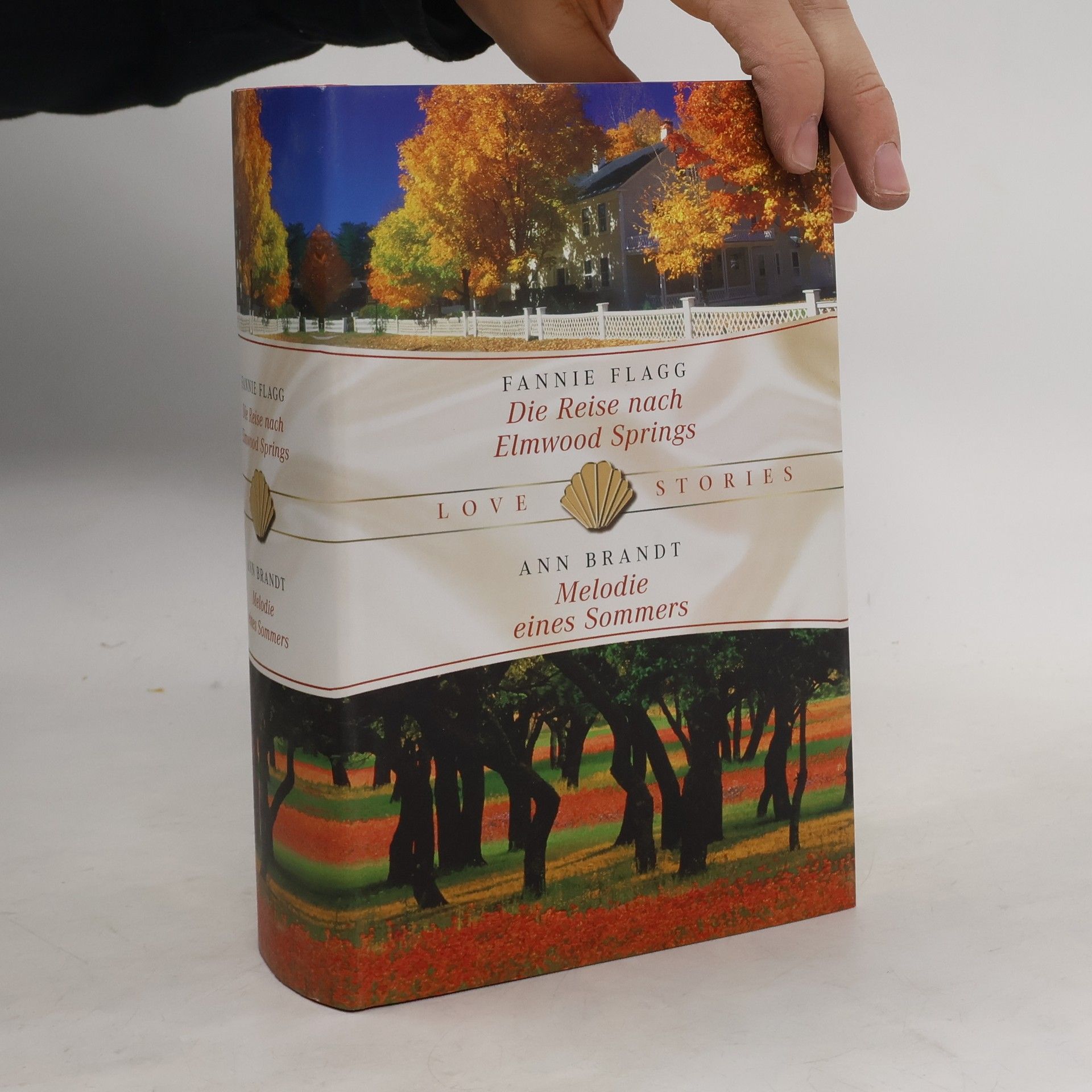 Die Reise nach Elmwood Springs. Melodie eines Sommers