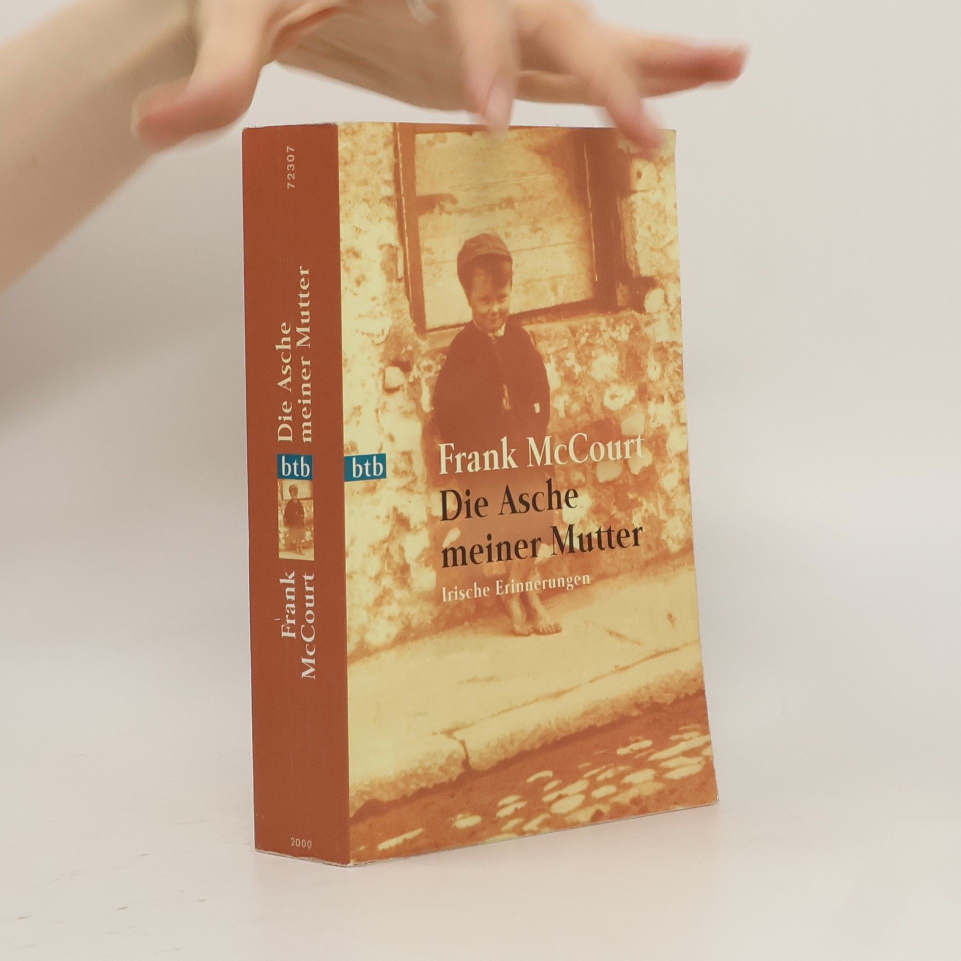 Frank McCourt Die Asche meiner Mutter