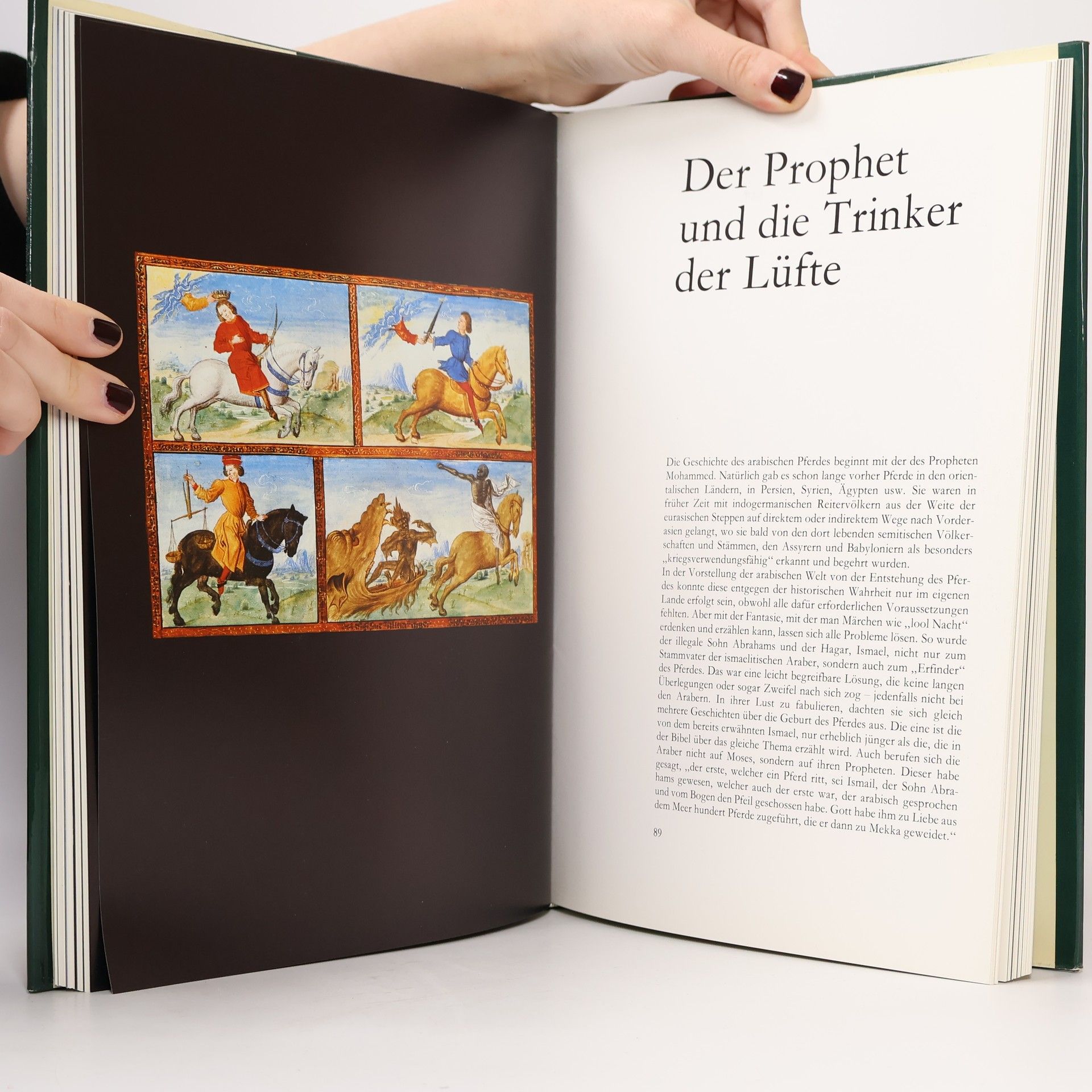 W. Gorbracht Das Abenteuer Pferd