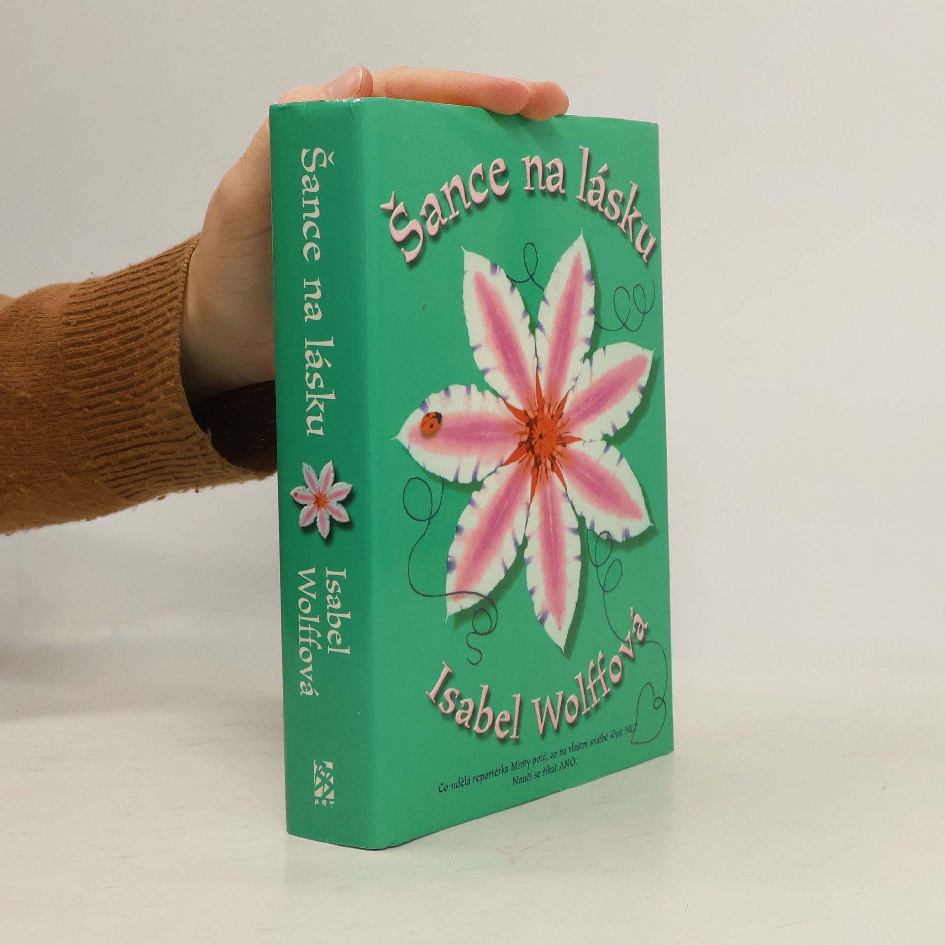 Isabel Wolff Šance na lásku