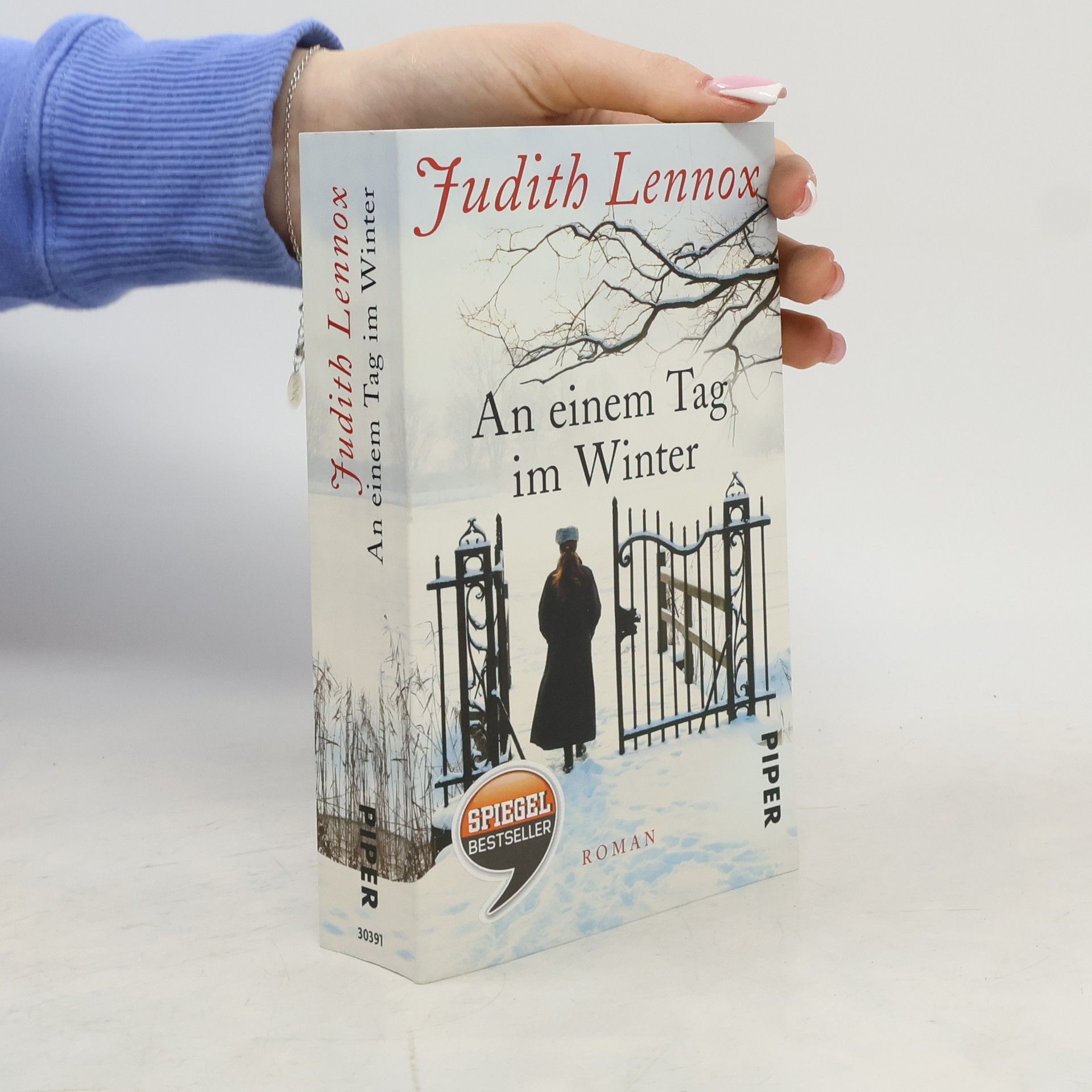 Judith Lennox An einem Tag im Winter