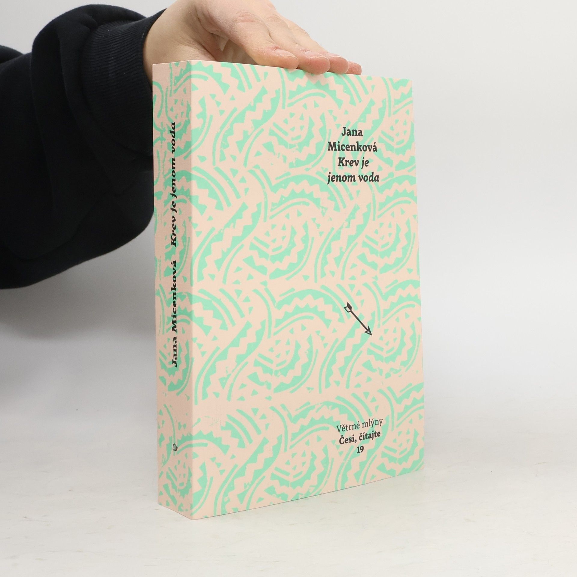 Jana Micenková Krev je jenom voda