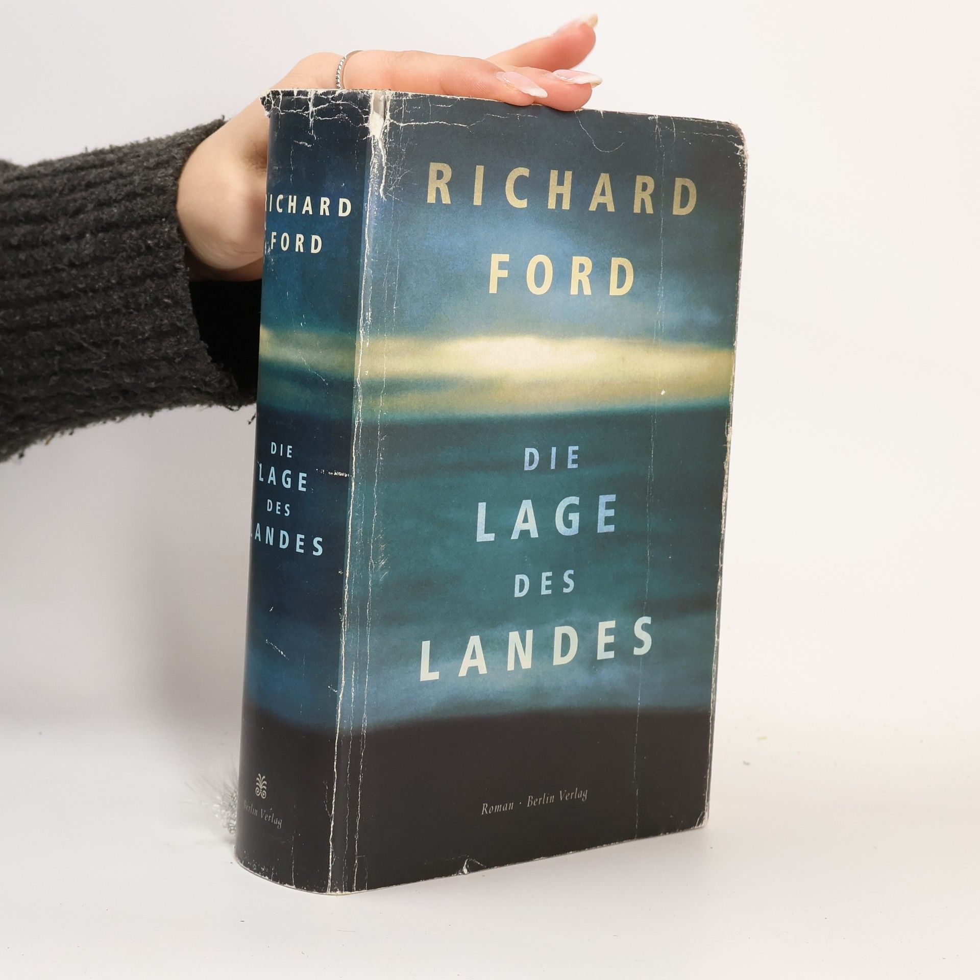 Richard Ford Die Lage des Landes