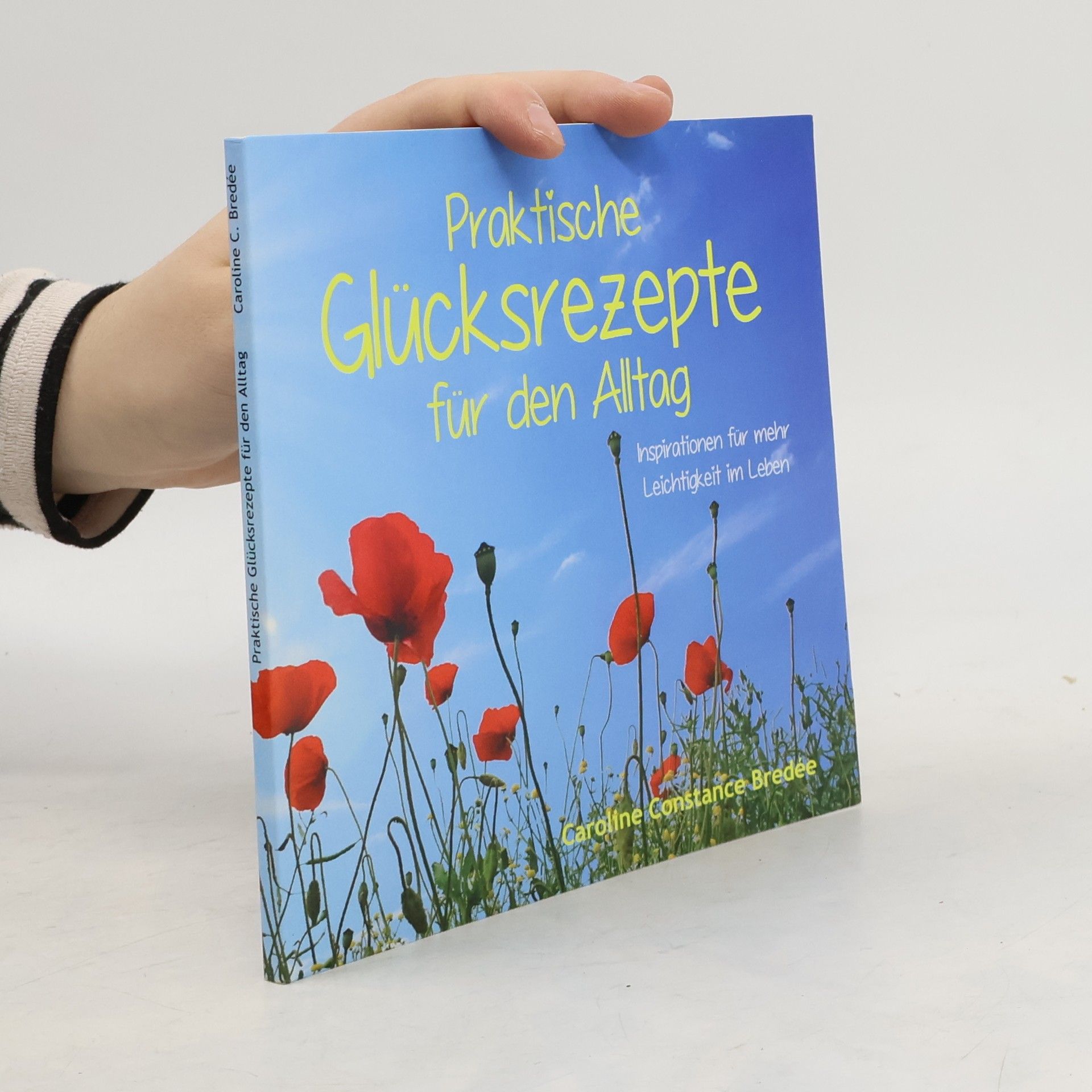 Caroline Constance Bredée Praktische Glücksrezepte für den Alltag