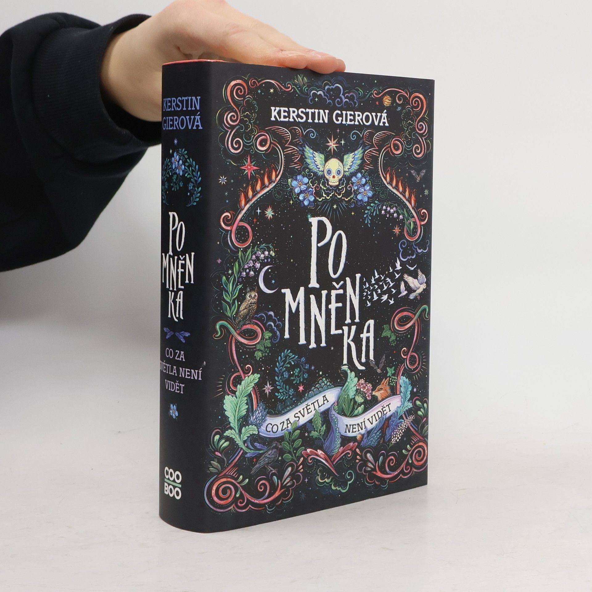 Kerstin Gier Pomněnka : co za světla není vidět