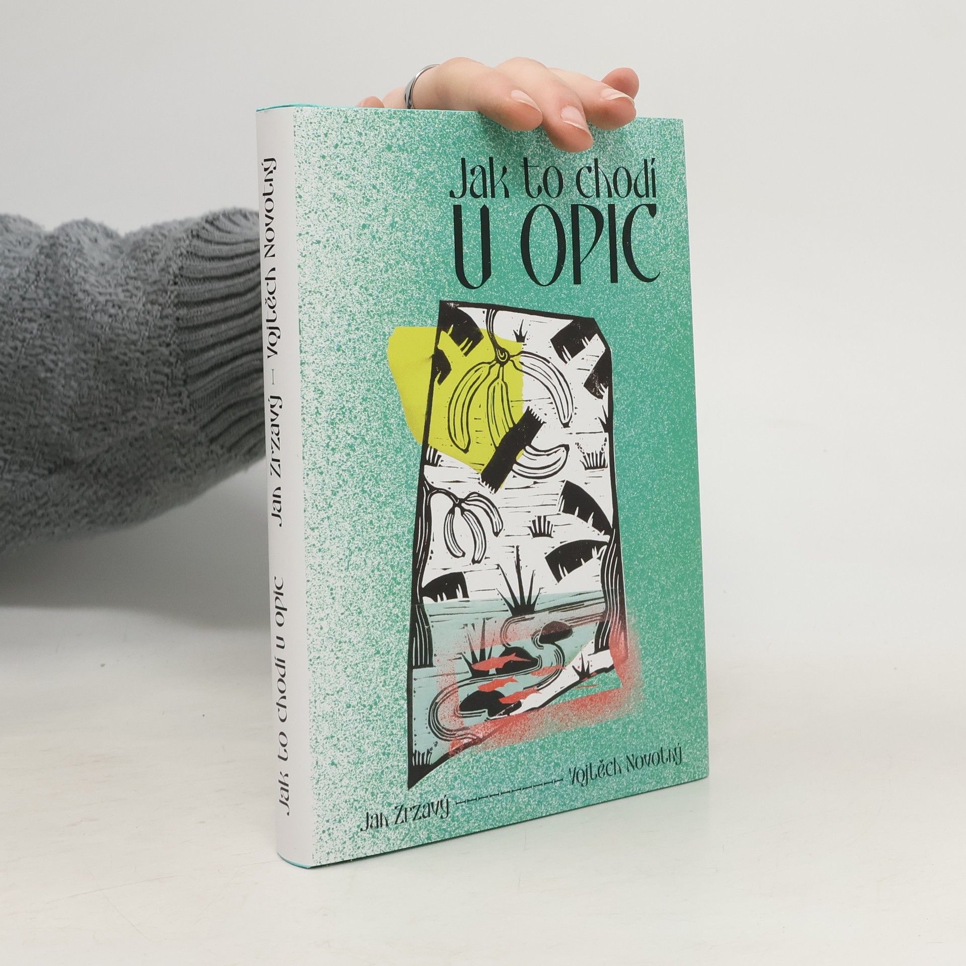 Vojtěch Novotný Jak to chodí u opic