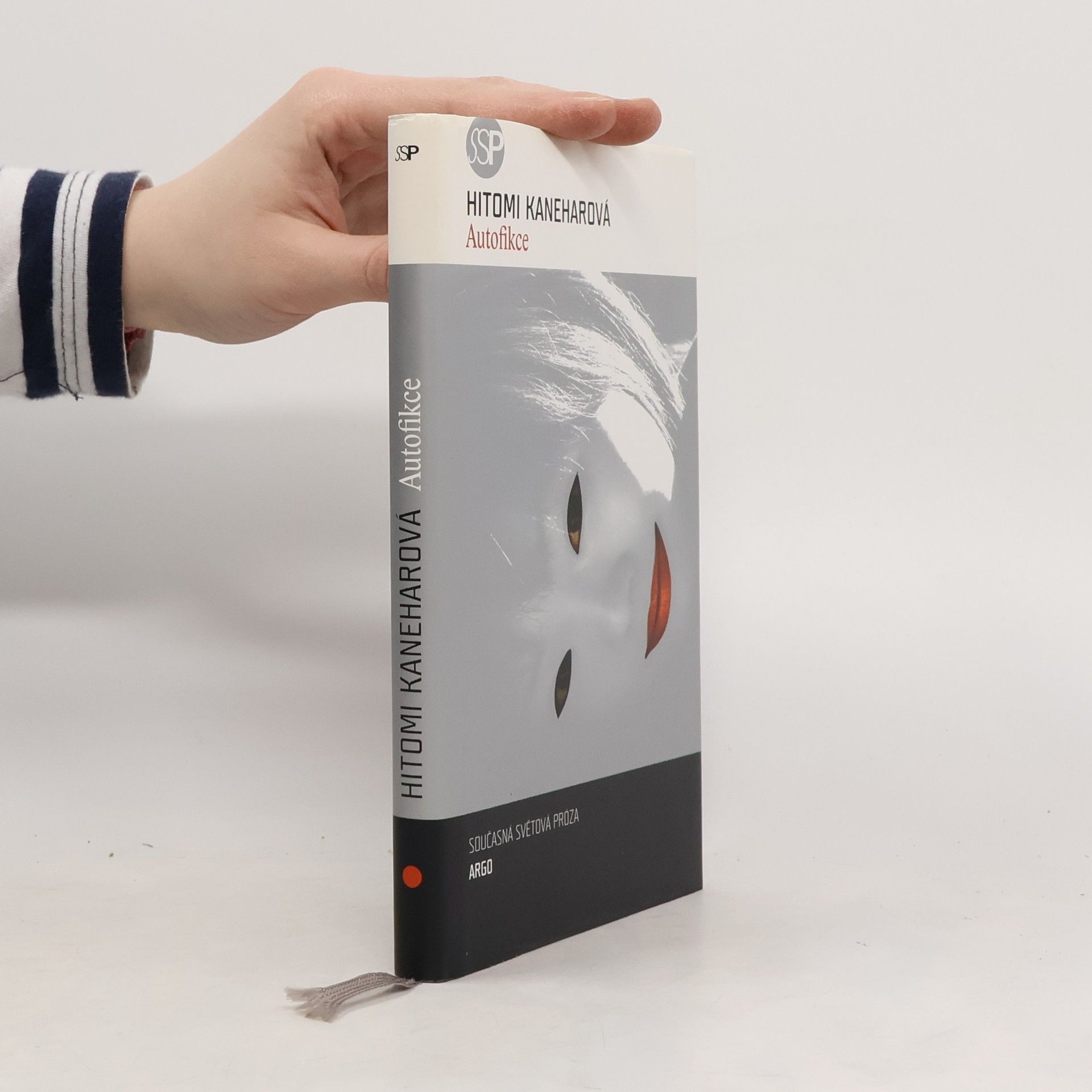 Hitomi Kanehara Autofikce