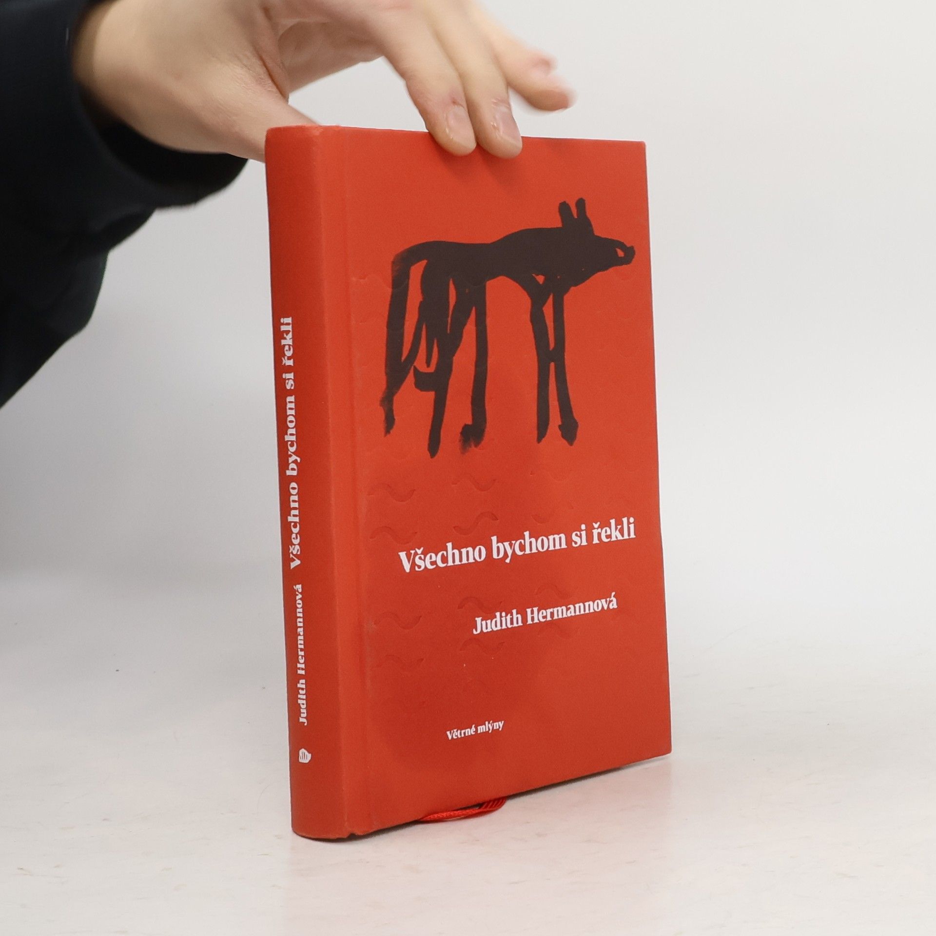 Judith Hermann Všechno bychom si řekli