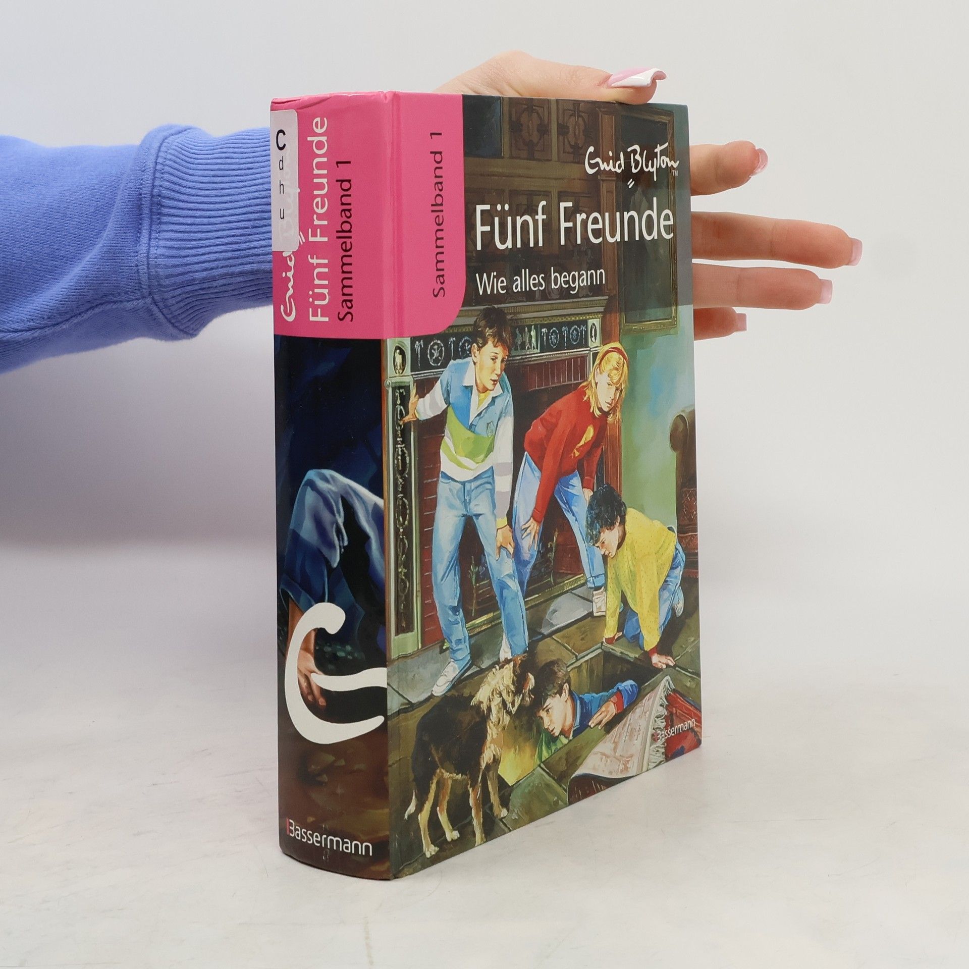 Werner Lincke Fünf Freunde: Wie alles begann