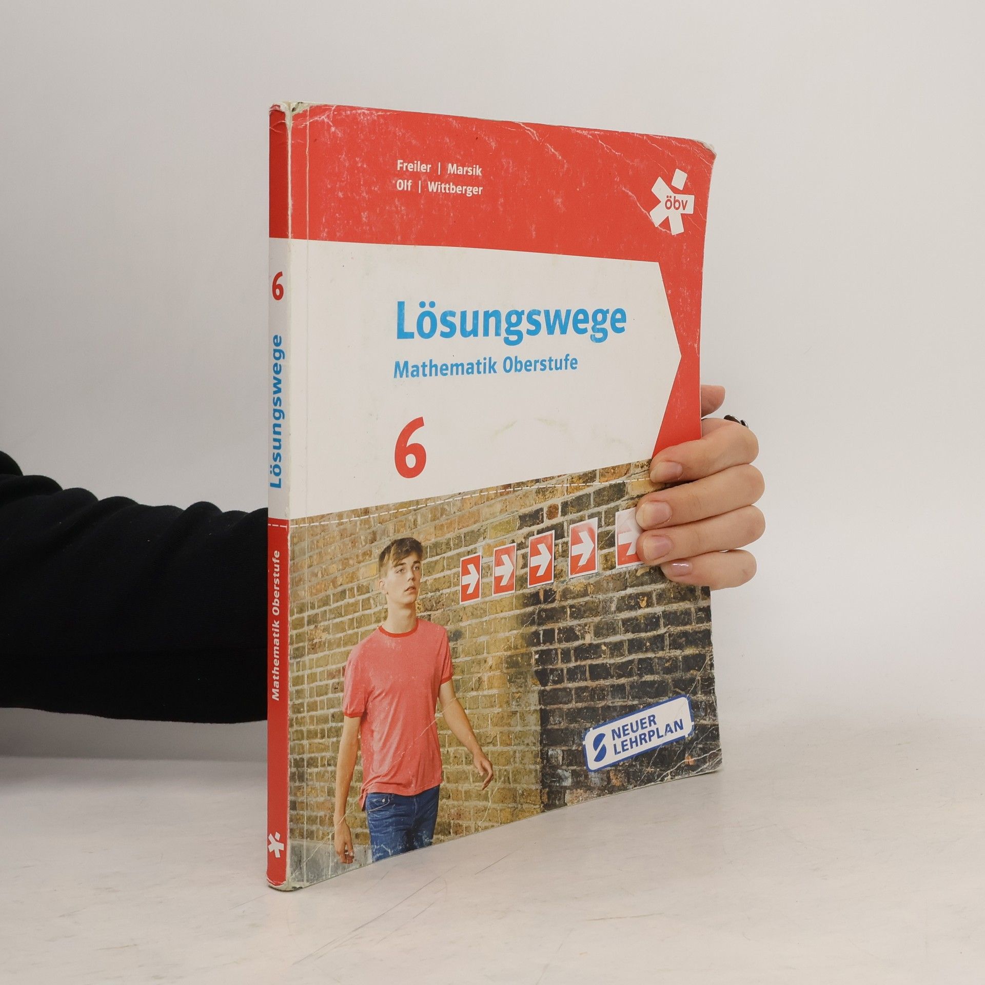 Autorenkollektiv Lösungswege Mathematik Oberstufe 6