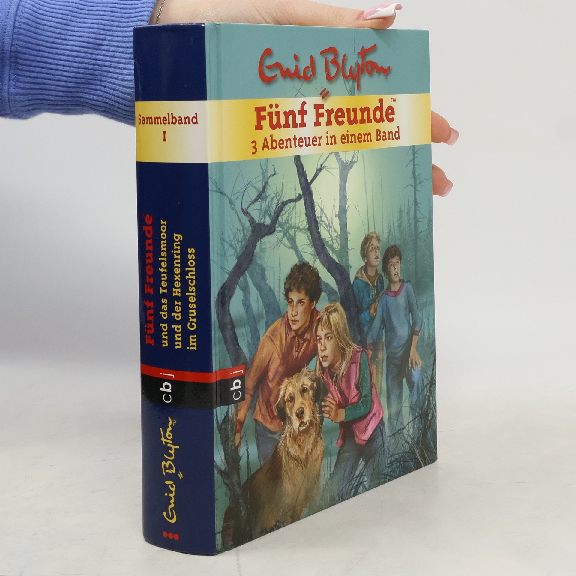 Enid Blyton Sammelband 1. Fünf Freunde. 3 Abenteuer in einem Band