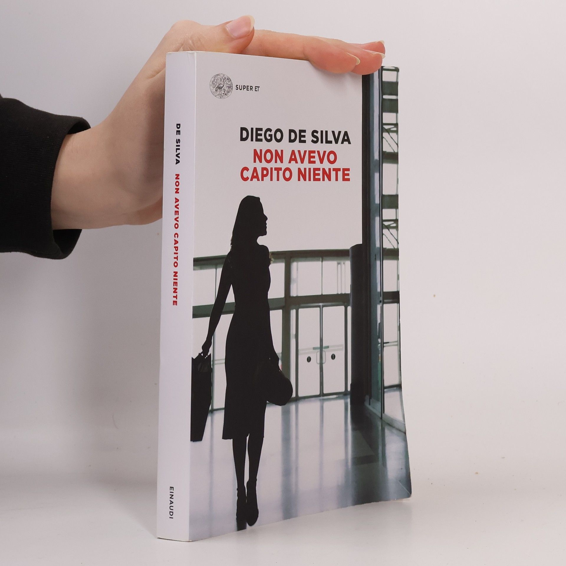 Diego De Silva Non avevo capito niente