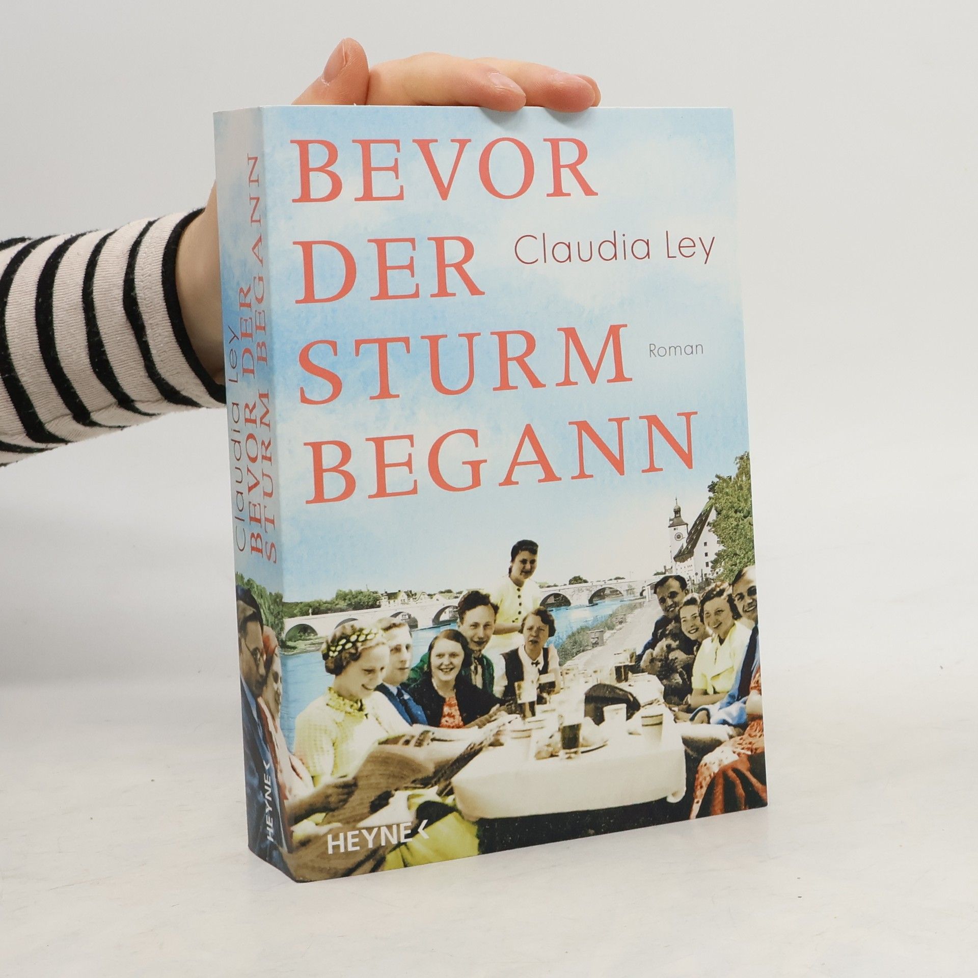 Claudia Ley Bevor der Sturm begann