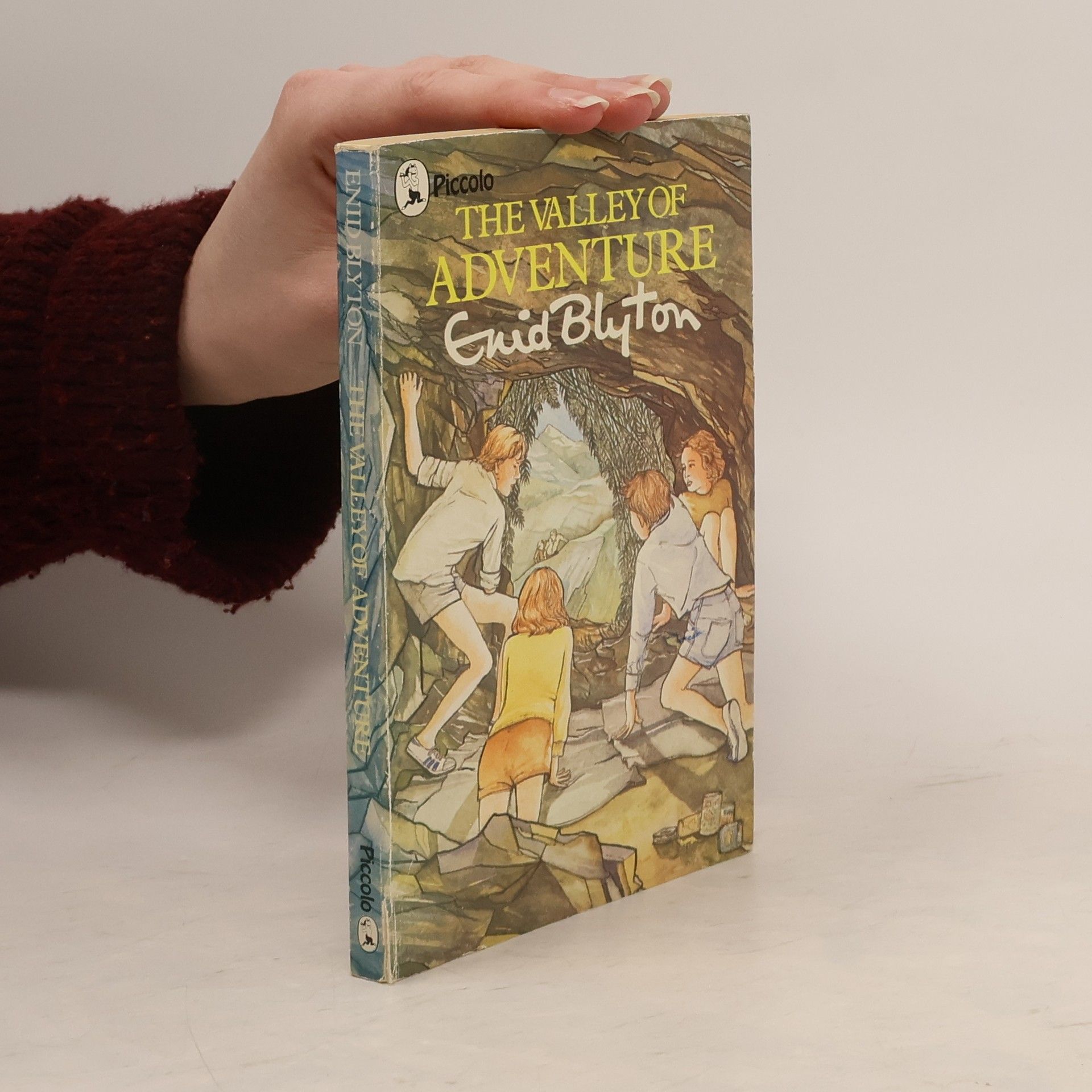 Enid Blyton The Valley of Adventure