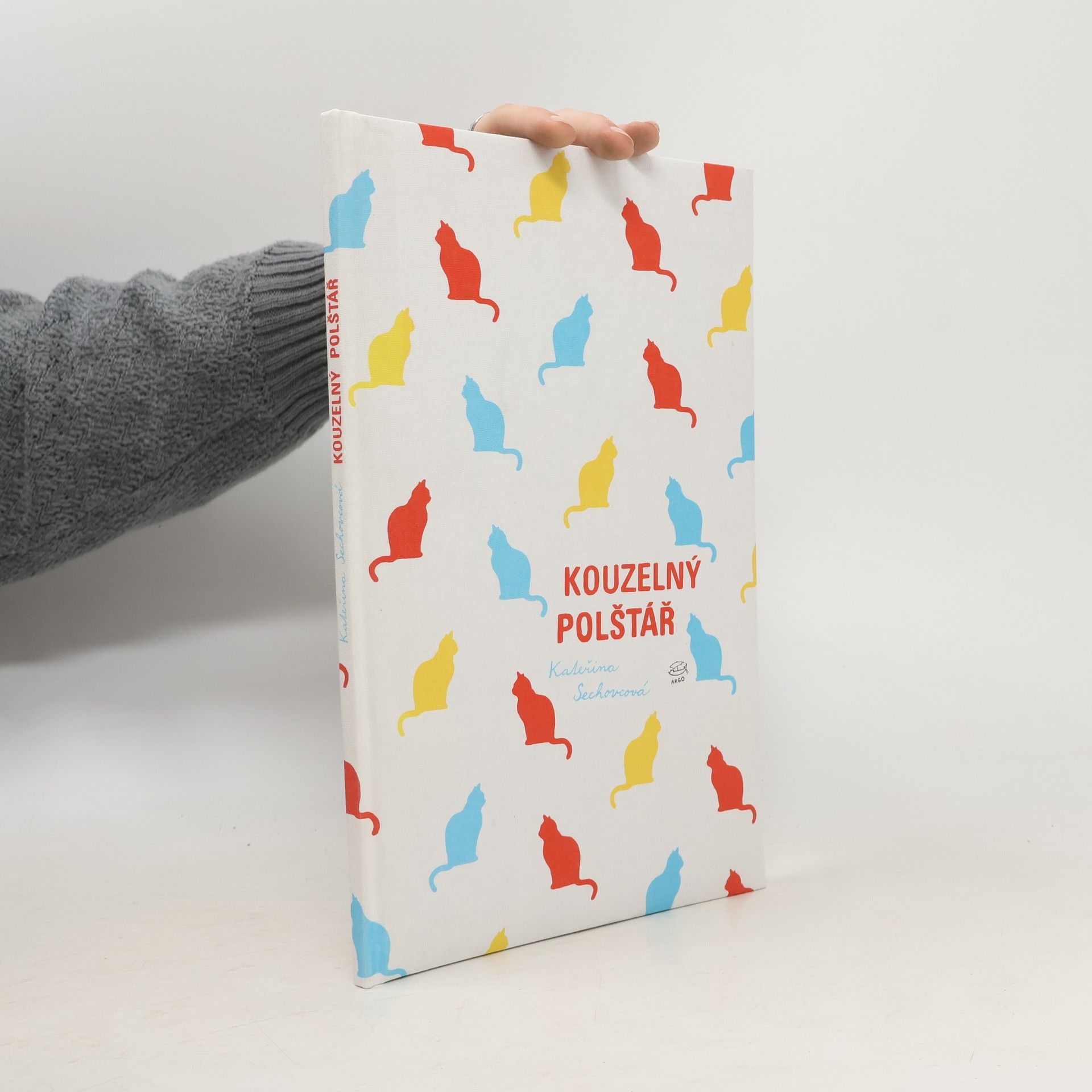 Kateřina Sechovcová Kouzelný polštář