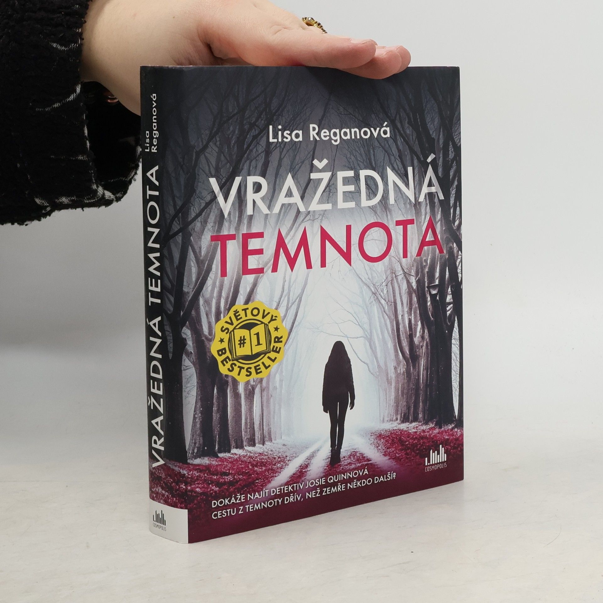 Lisa Regan Vražedná temnota