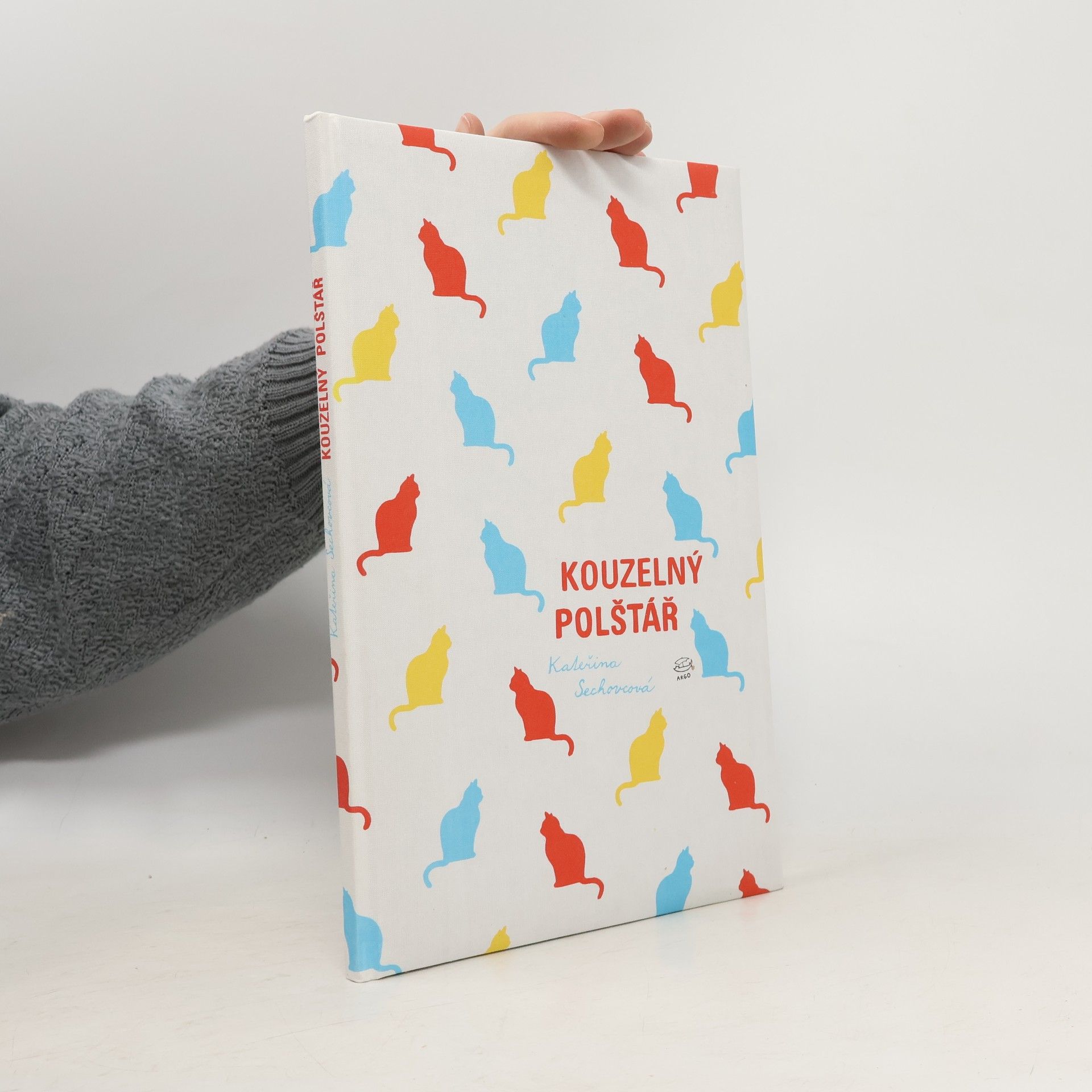 Kateřina Sechovcová Kouzelný polštář