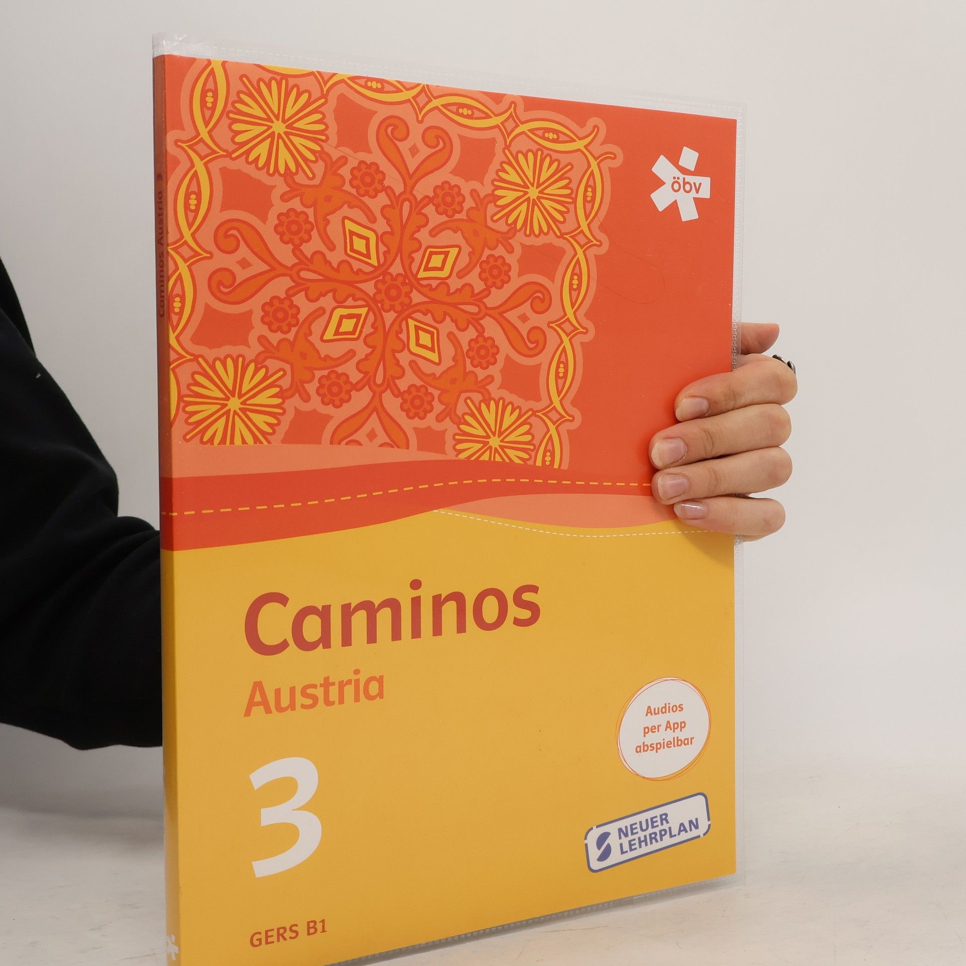 Various authors Caminos Austria