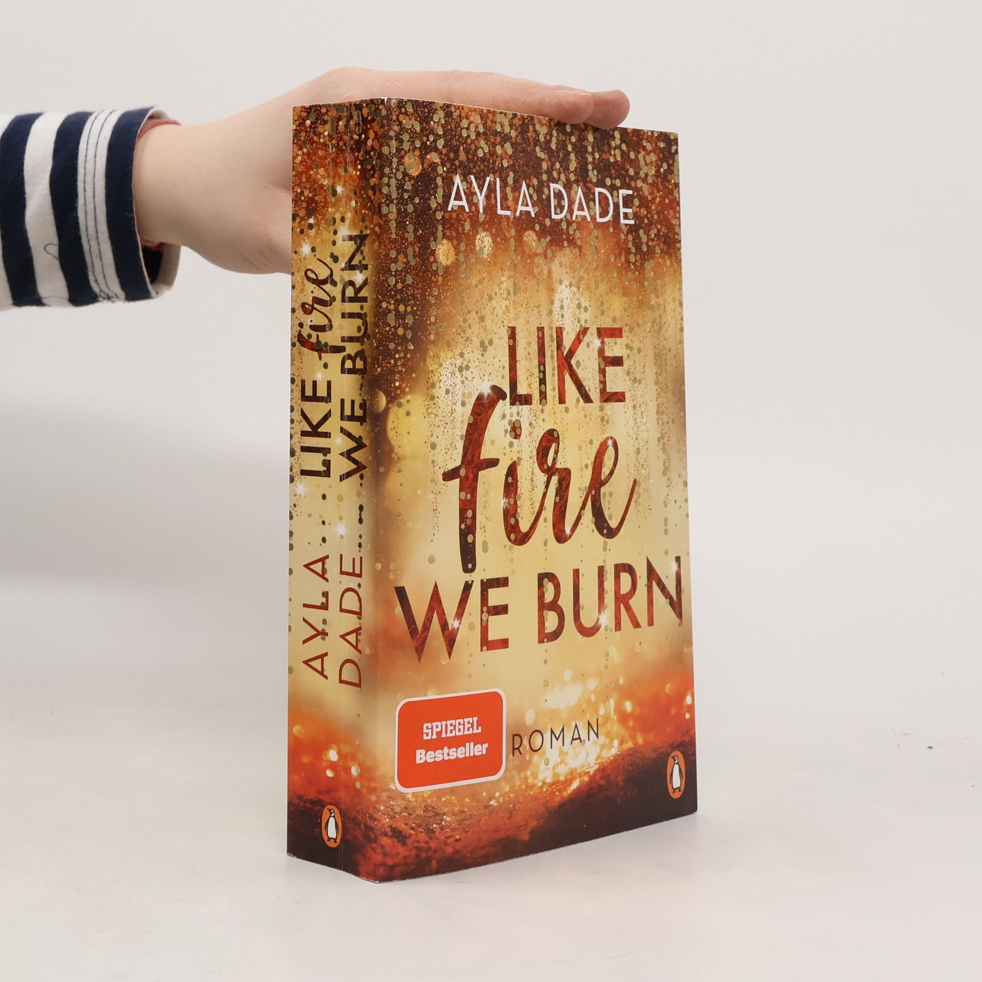 Ayla Dade Like Fire We Burn