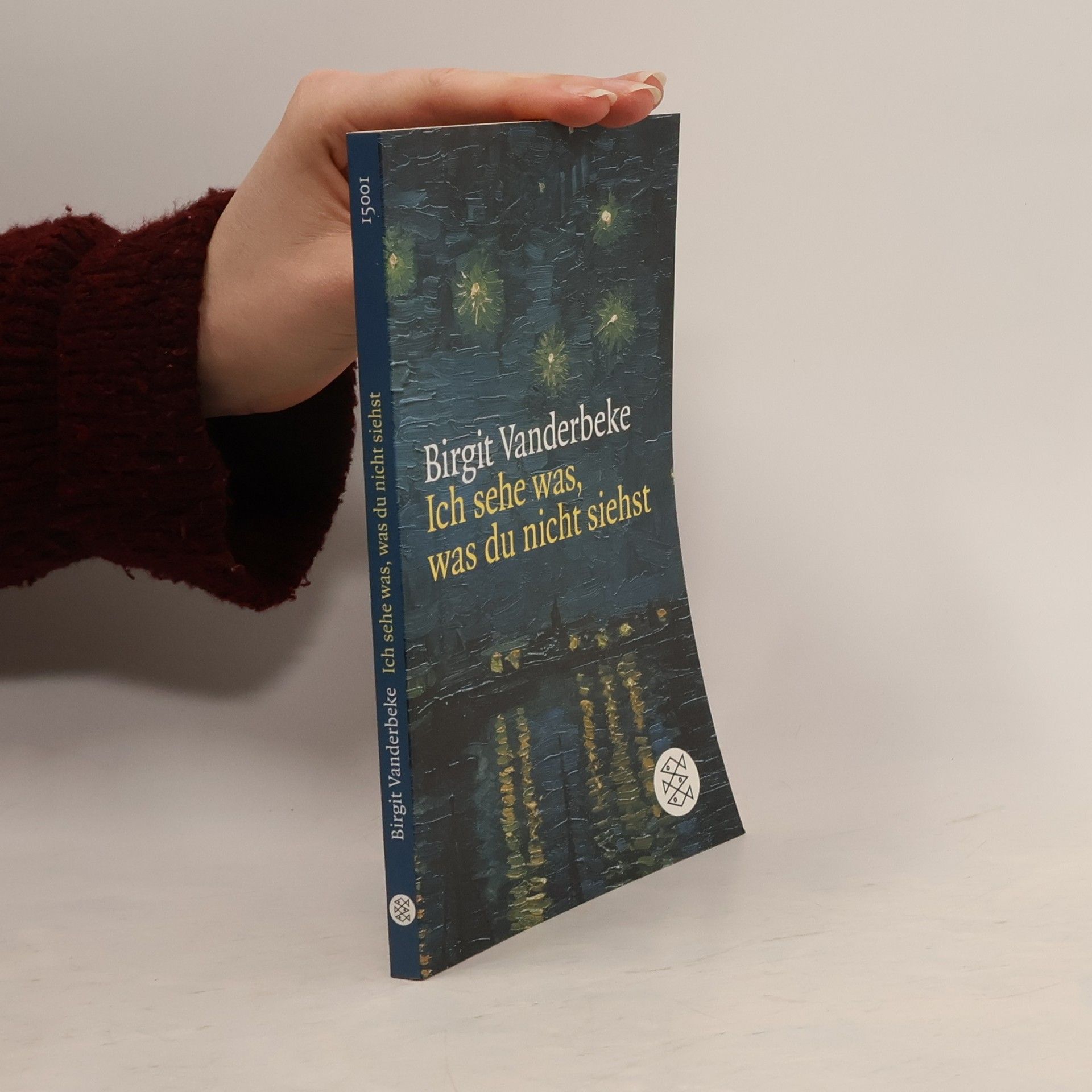 Birgit Vanderbeke Ich sehe was, was du nicht siehst