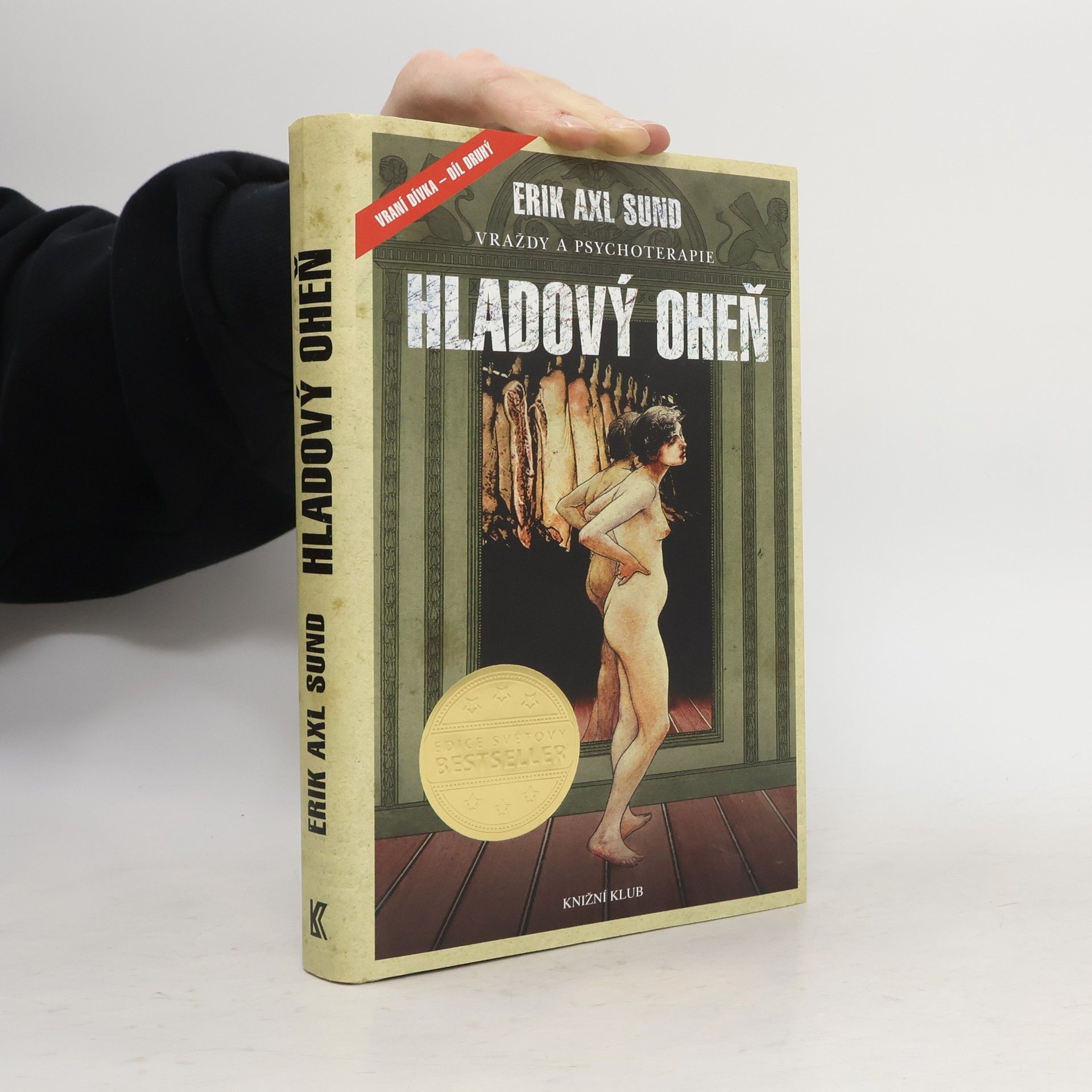 Erik Axl Sund Slabost Victorie Bergmanové. 2. díl. Hladový oheň