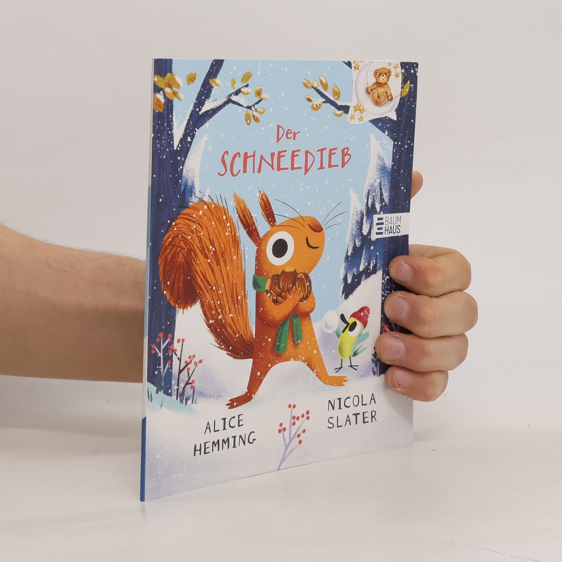 Alice Hemming Der Schneedieb
