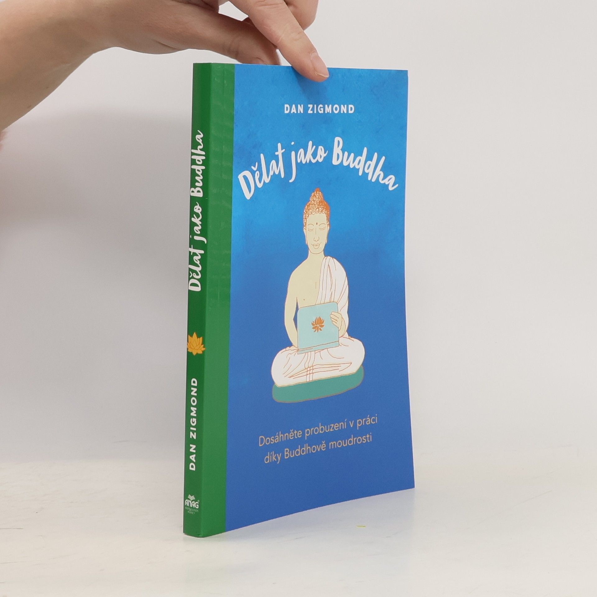 Dan Zigmond Dělat jako Buddha