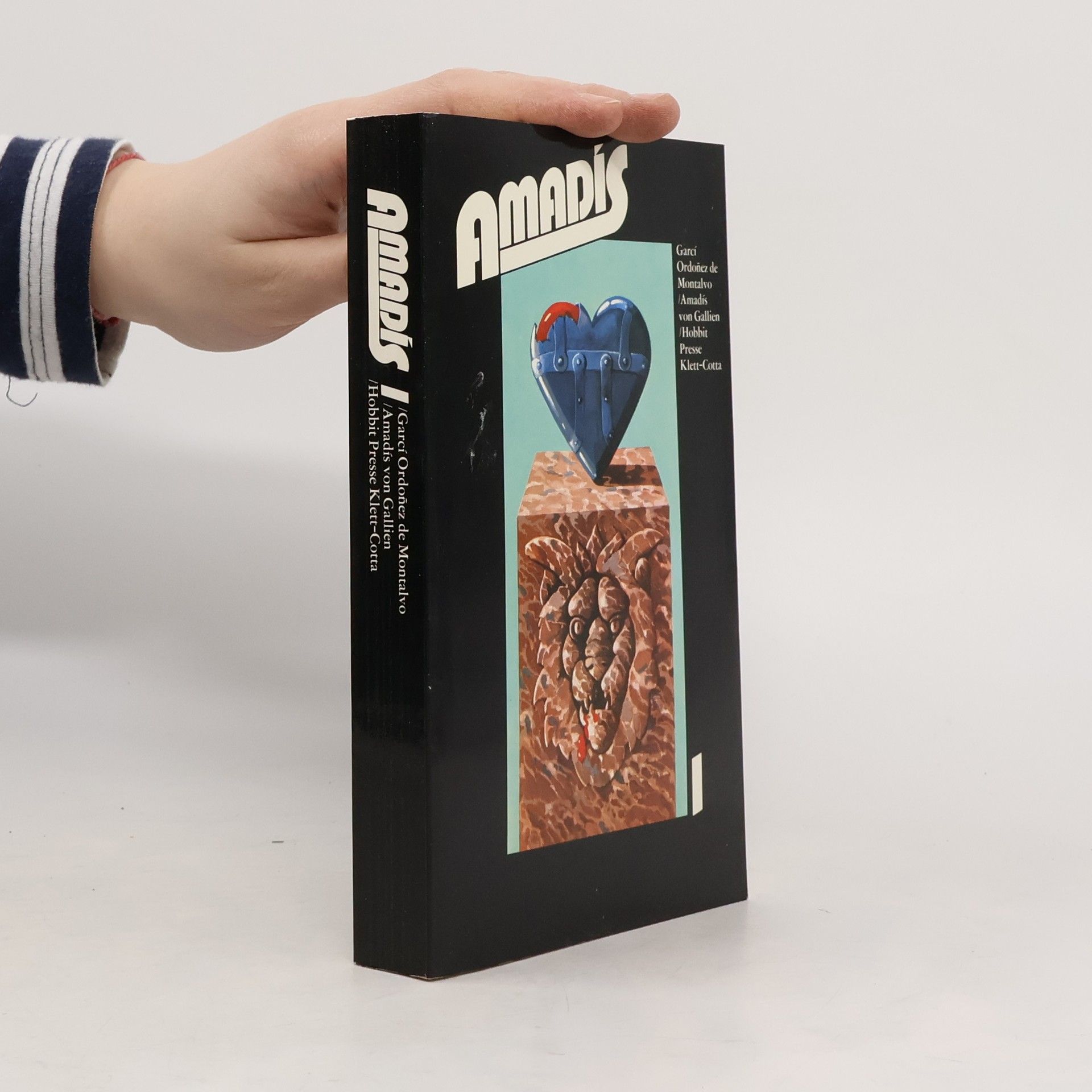 Fritz Rudolf Fries Amadís von Gallien