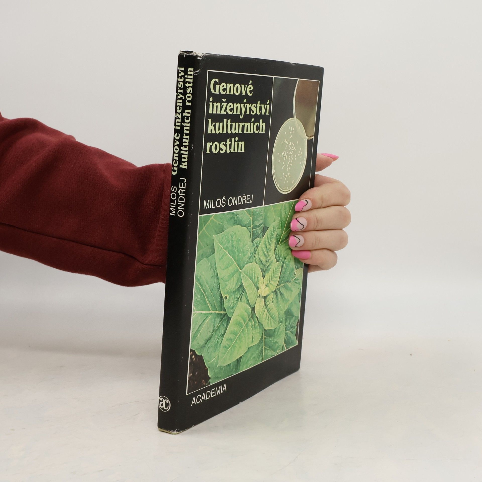 Genové inženýrství kulturních rostlin