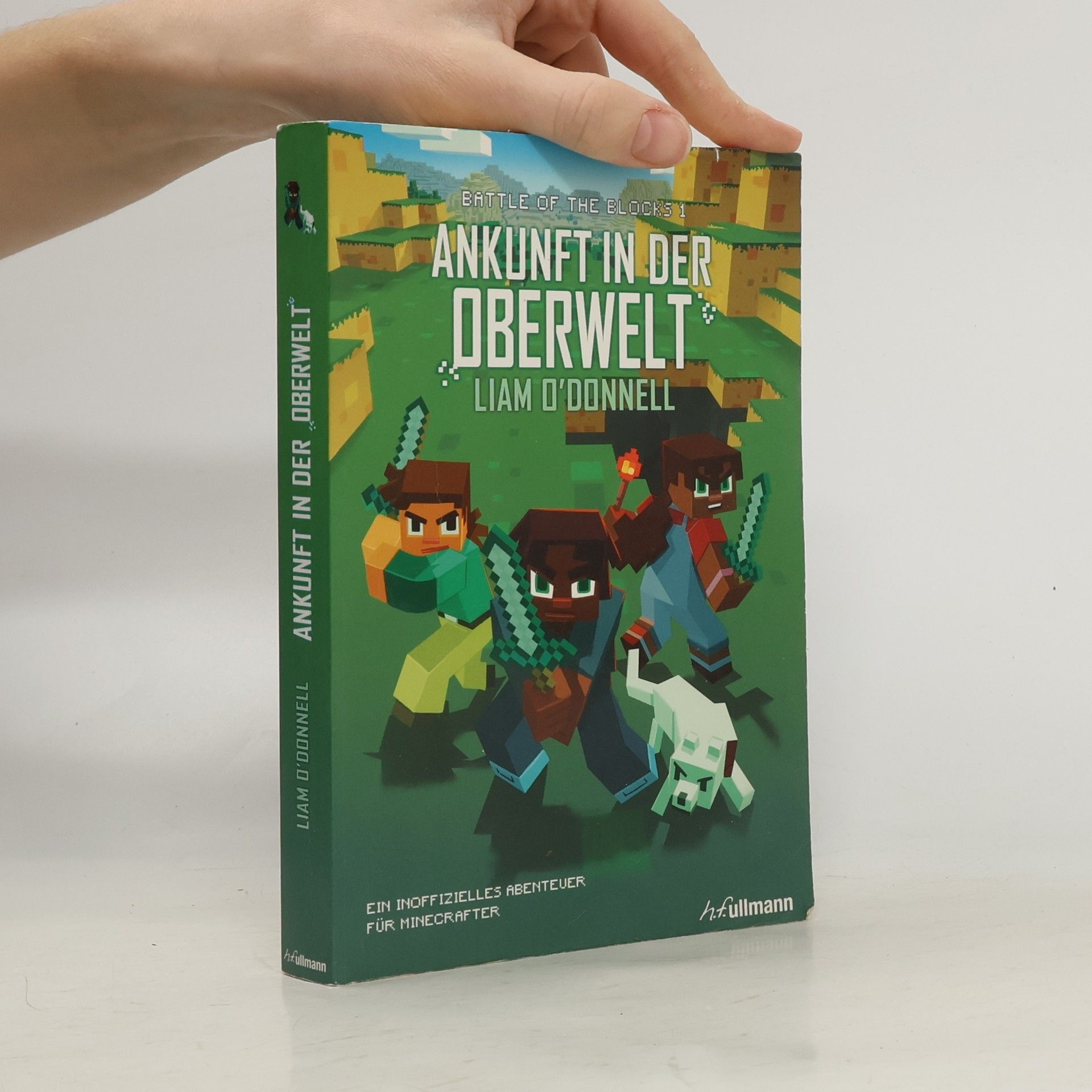 Ankunft in der Oberwelt