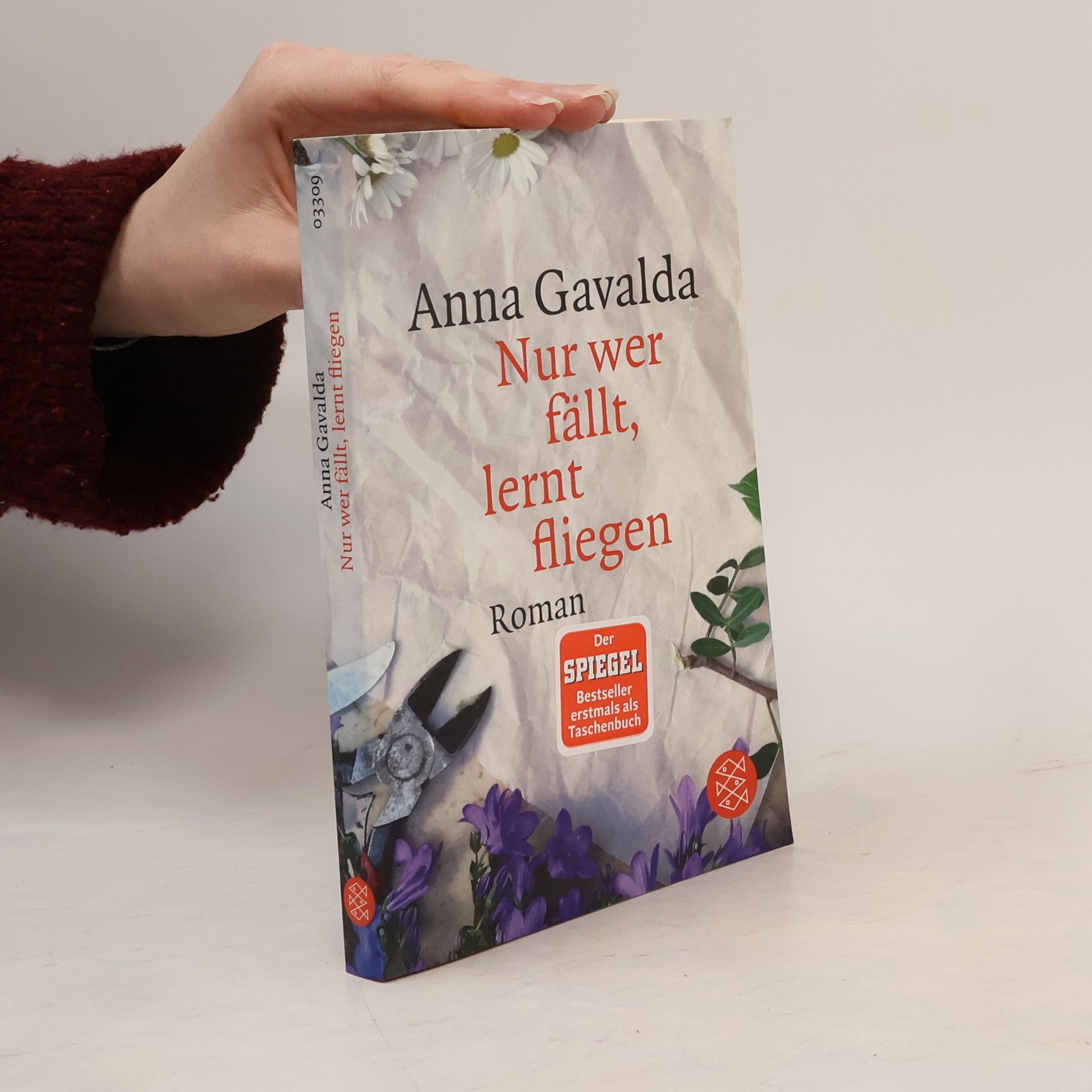 Anna Gavalda Nur wer fällt, lernt fliegen