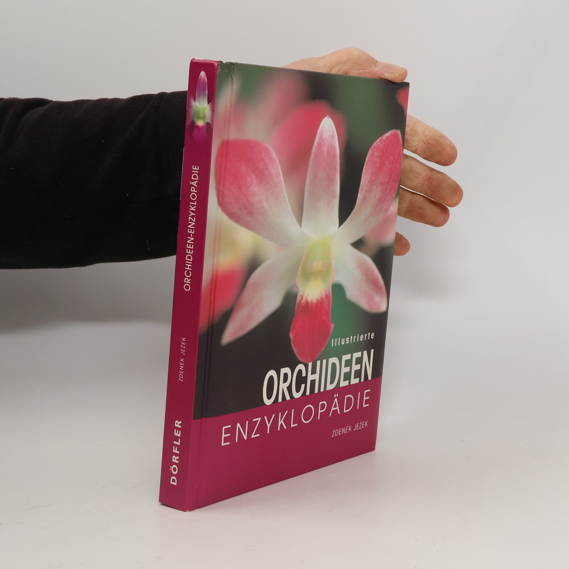 Zdeněk Ježek Illustrierte Orchideen-Enzyklopädie