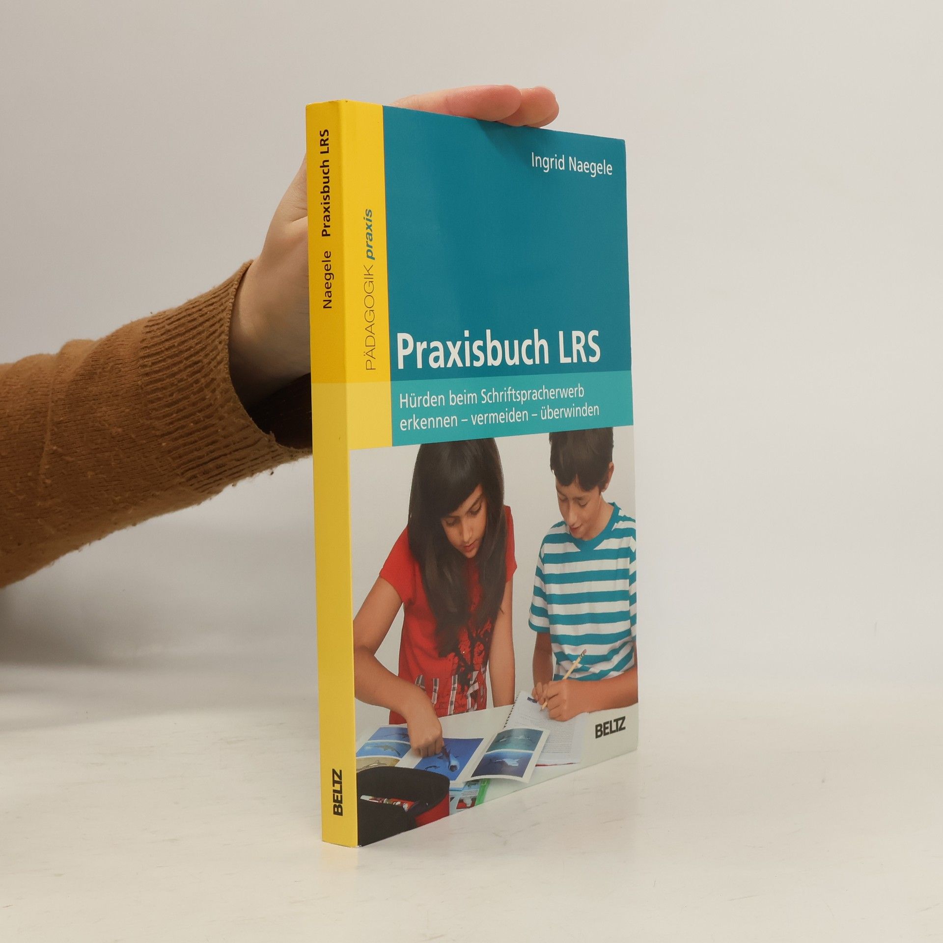 Ingrid M. Naegele Praxisbuch LRS