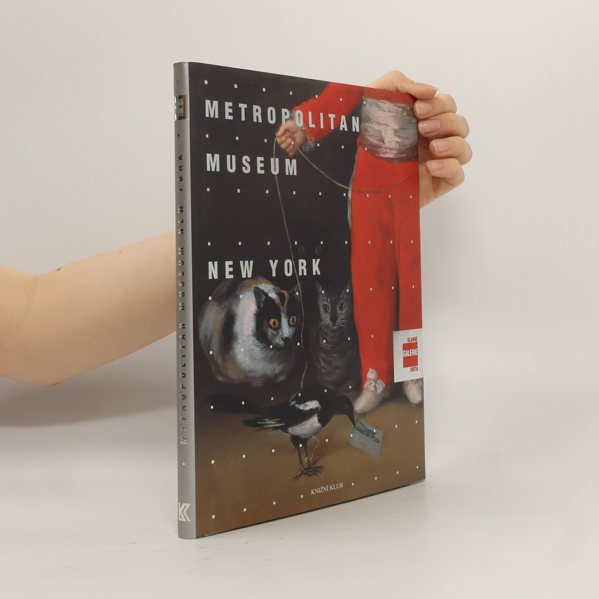 Slavné galerie světa. Metropolitan Museum - New York